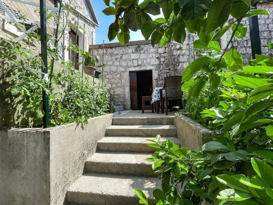 Vintage house Brijesta view 2