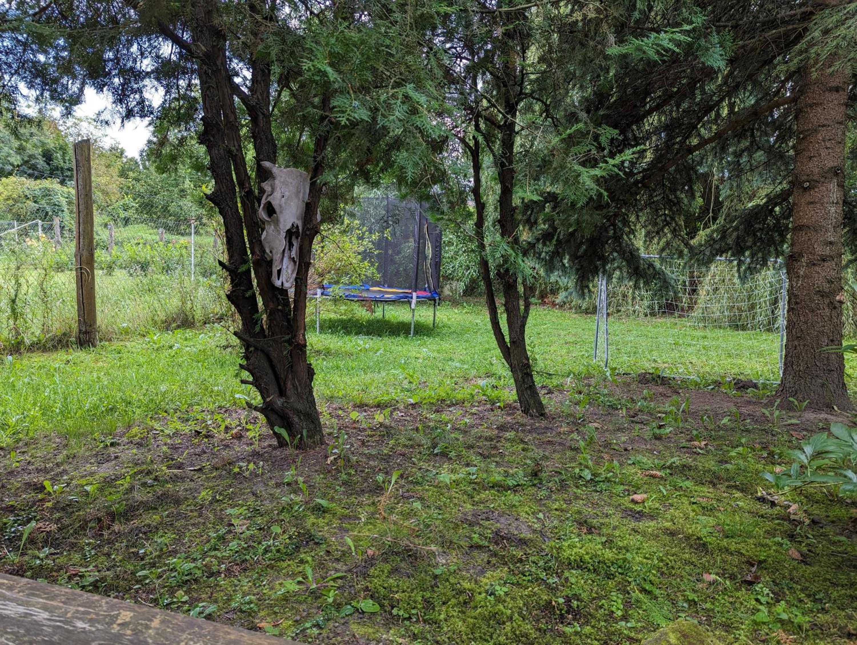 Photo 38