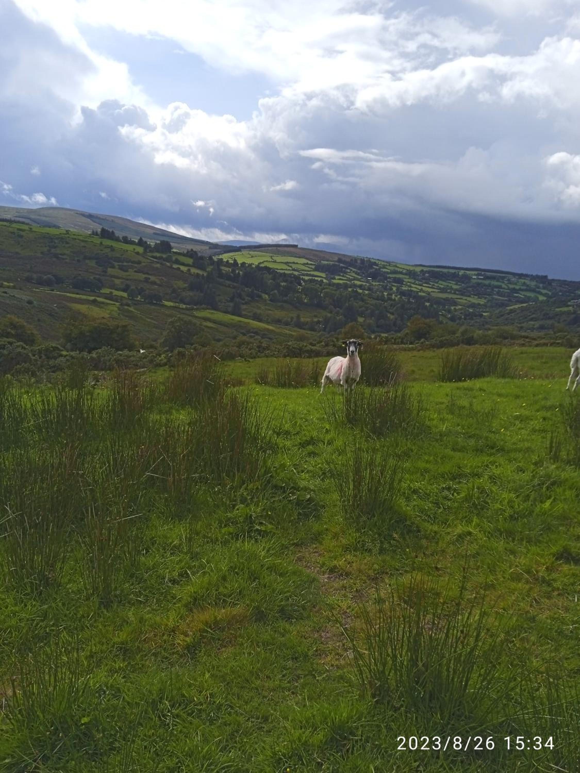 Nire Valley Cottage