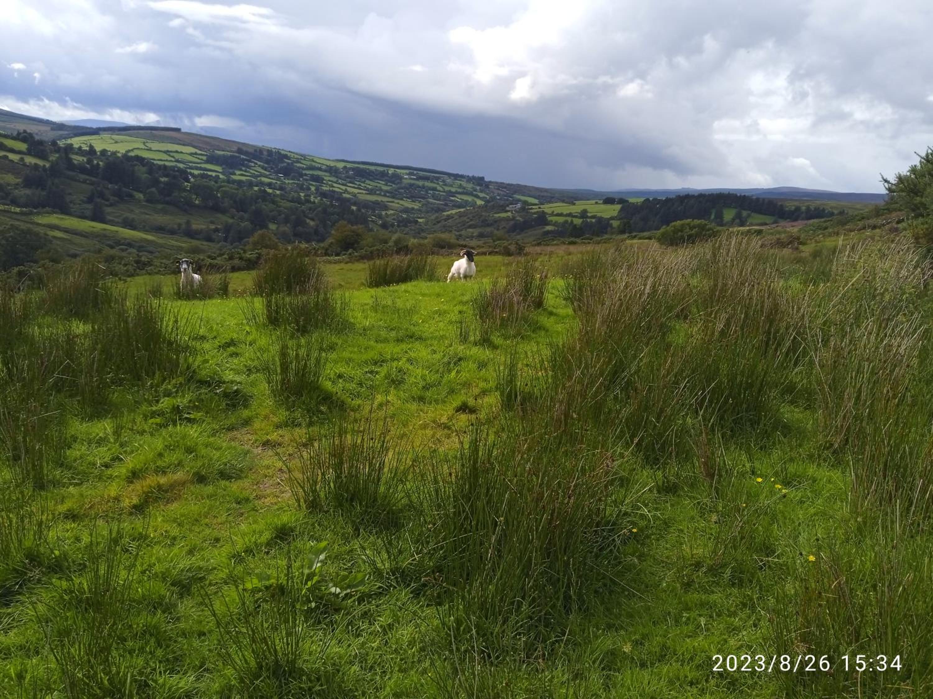 Nire Valley Cottage