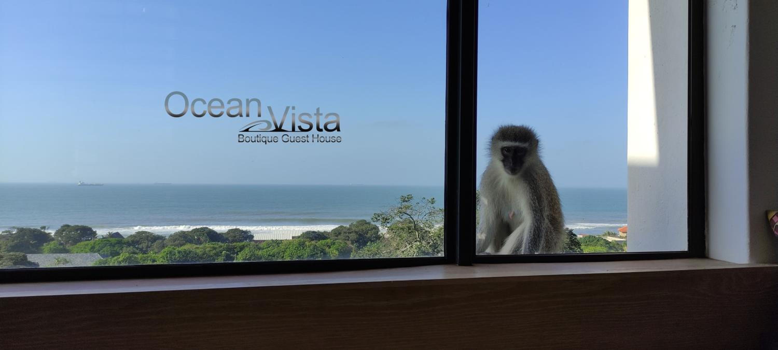 Ocean Vista Boutique Guest House view 3