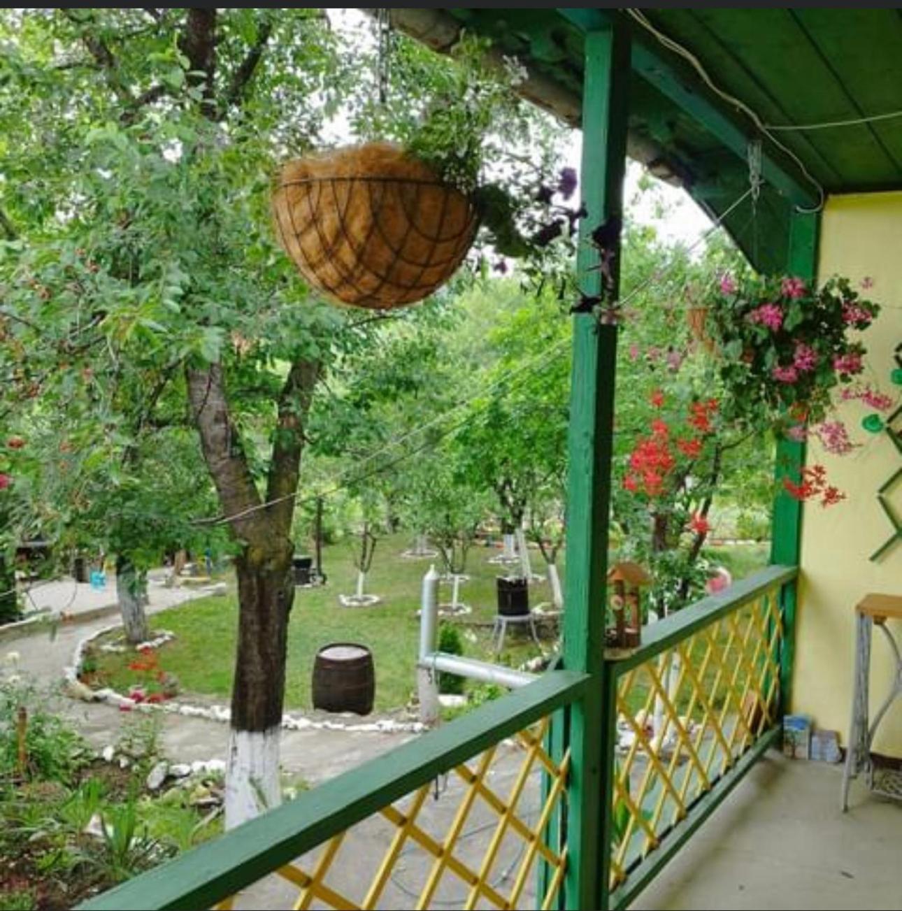 Căsuța fă rai din ce ai view 2