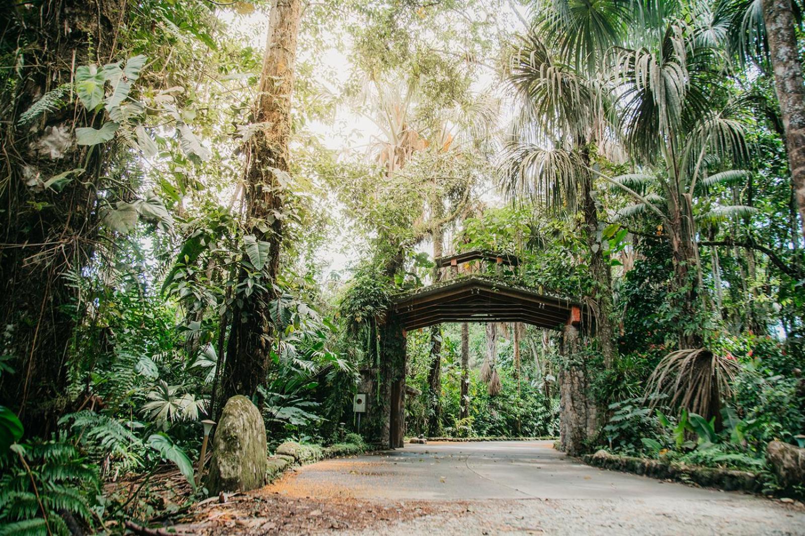 garden