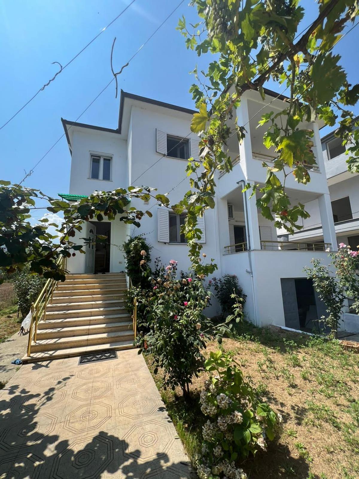 Anushe's apartament