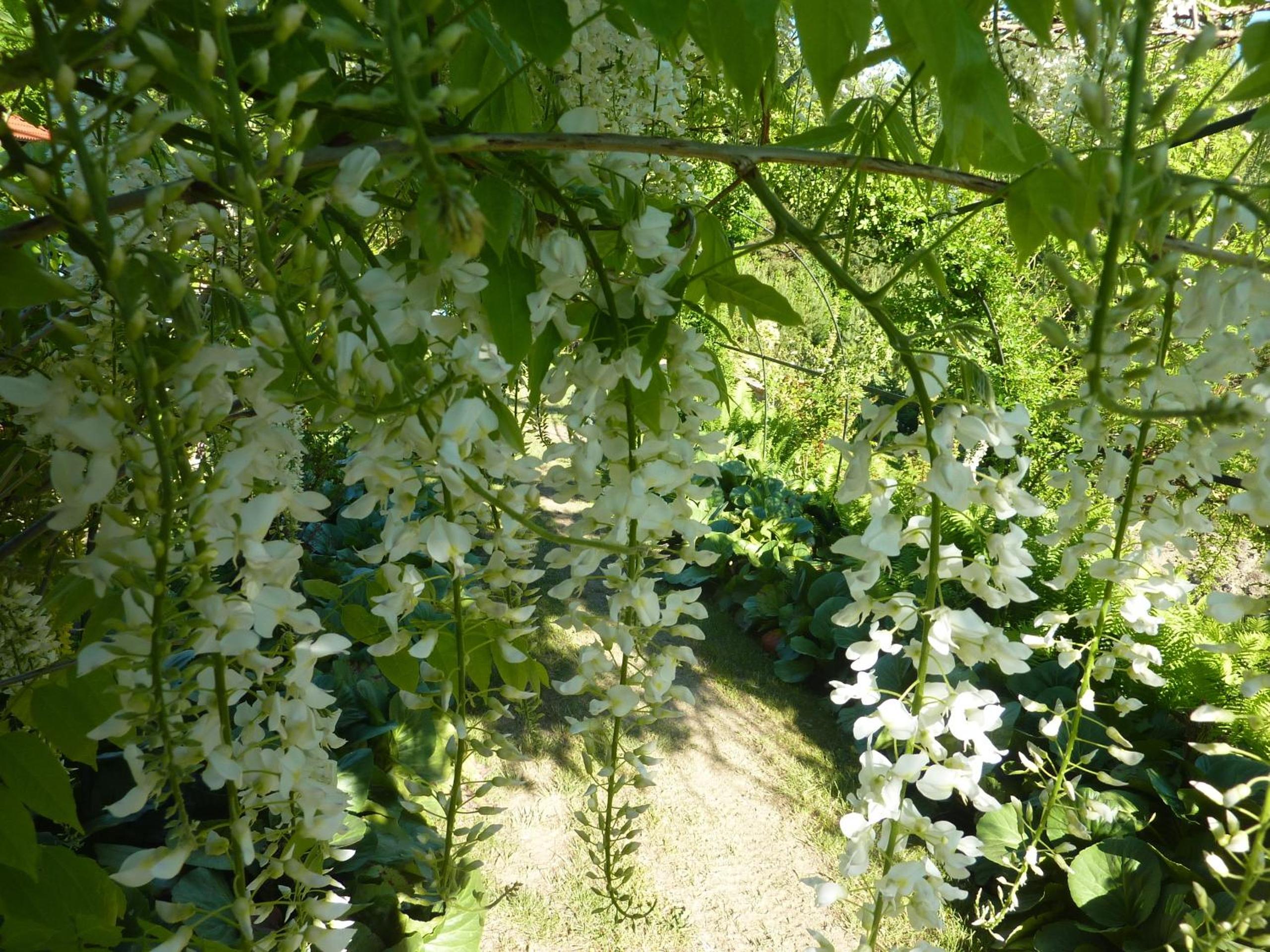 Sowi Dworek view 5