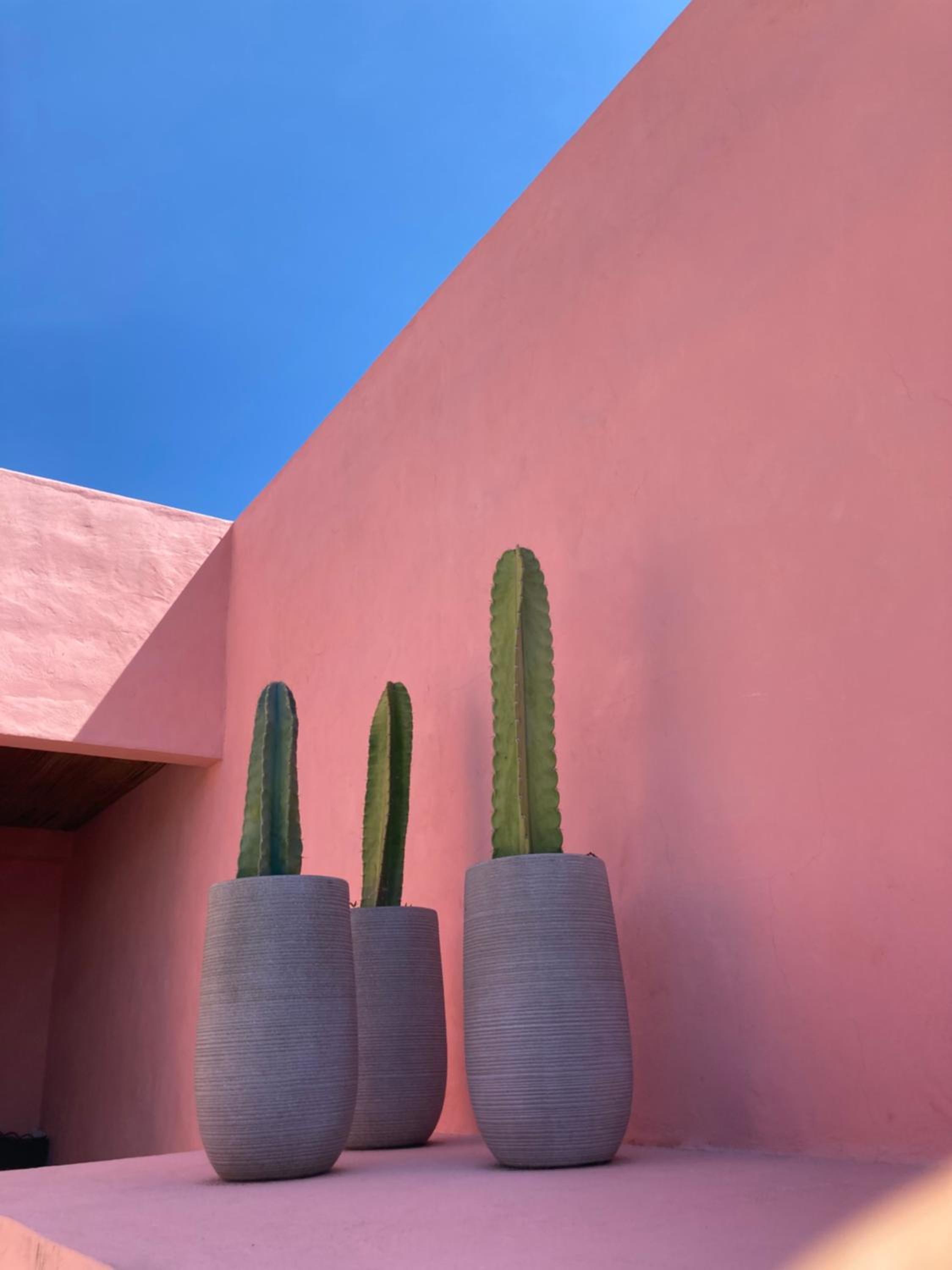 Casa De Amigos Hotel Boutique