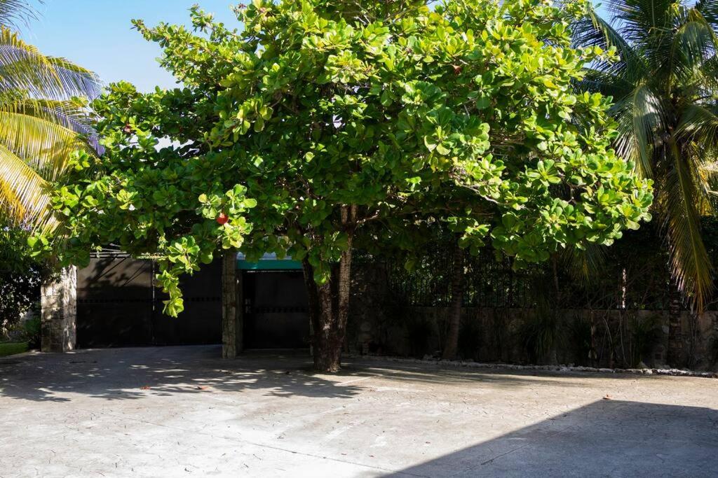 Cancun Family ideal Villa, private pool and garden