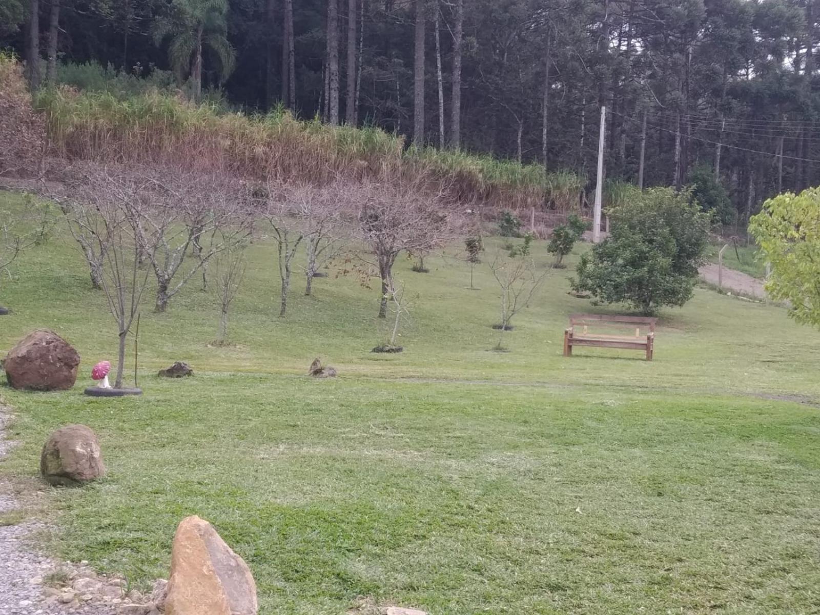 Encosta Dos Pinheiros