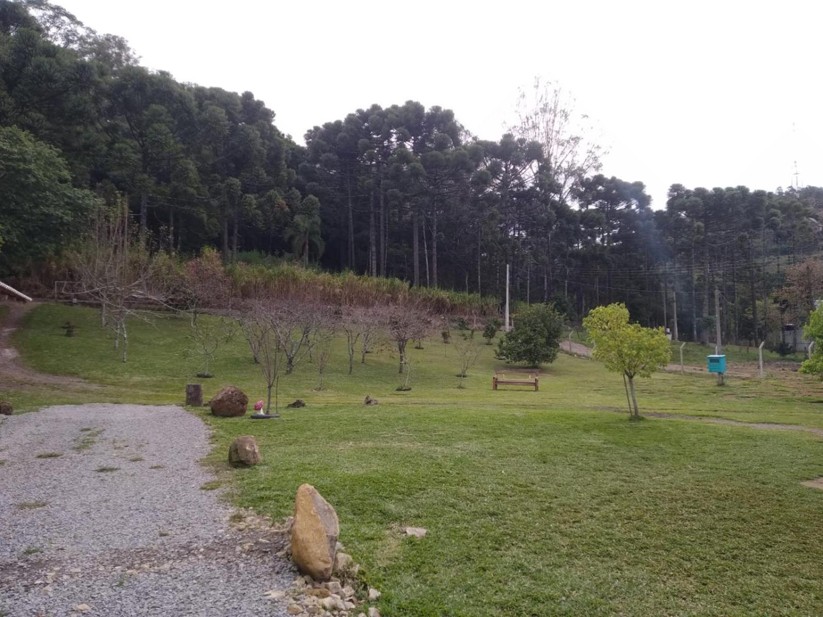 Encosta Dos Pinheiros
