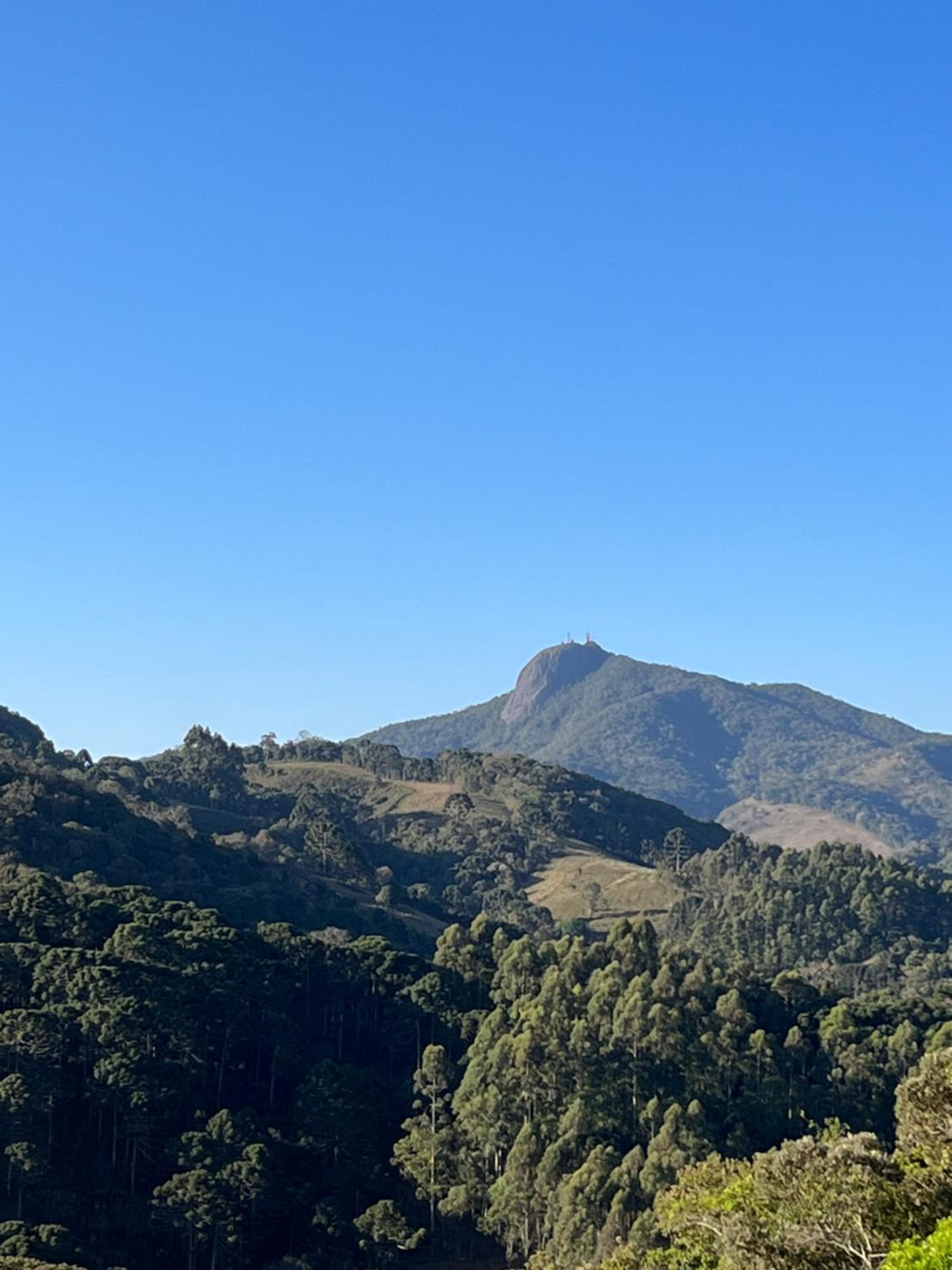 Chalés Pinheiros da Mantiqueira