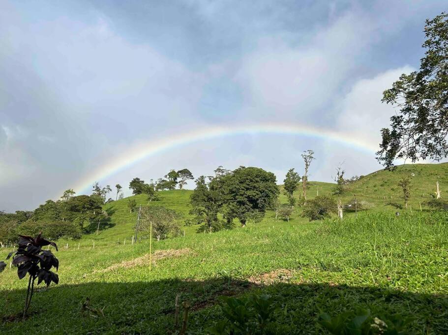 San Vicente Views