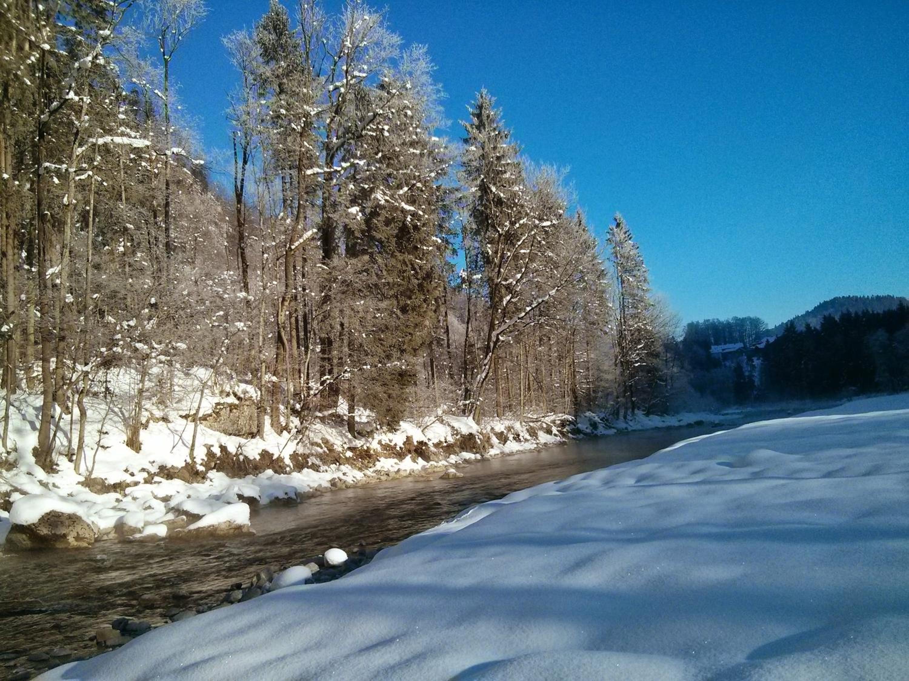 Löchle. Ferienhütte im Bregenzerwald, Andelsbuch