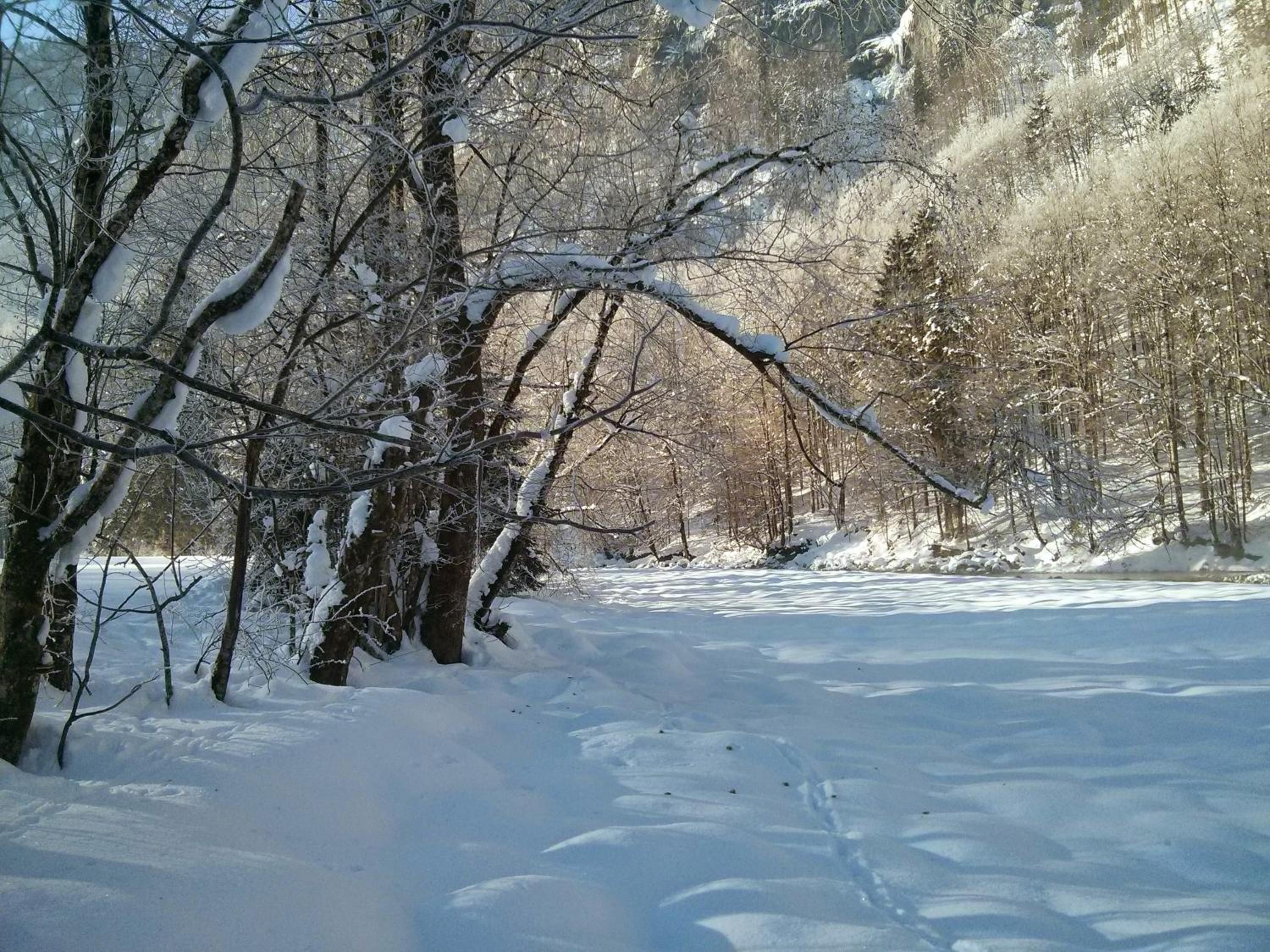 Löchle. Ferienhütte im Bregenzerwald, Andelsbuch