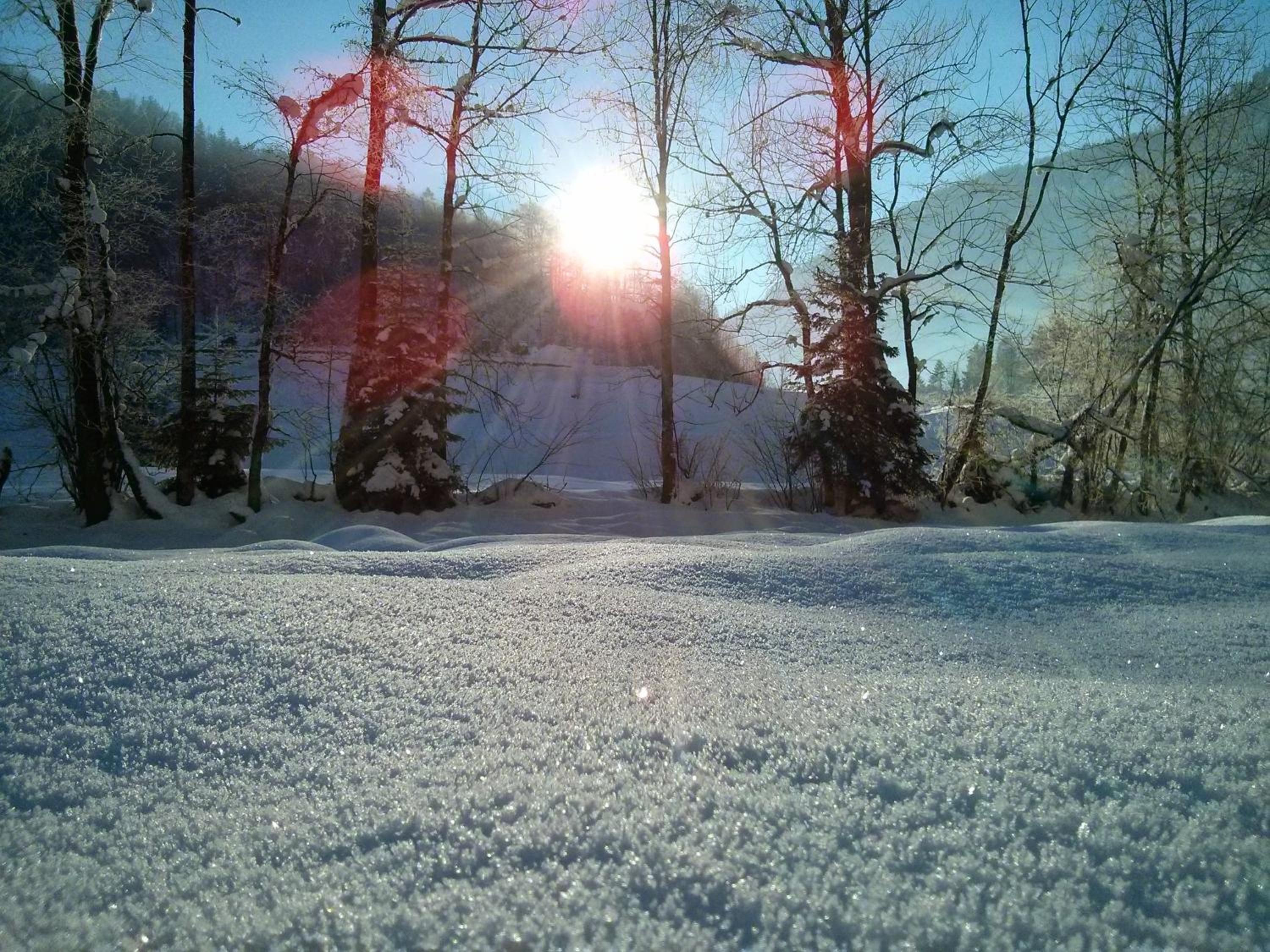 Löchle. Ferienhütte im Bregenzerwald, Andelsbuch