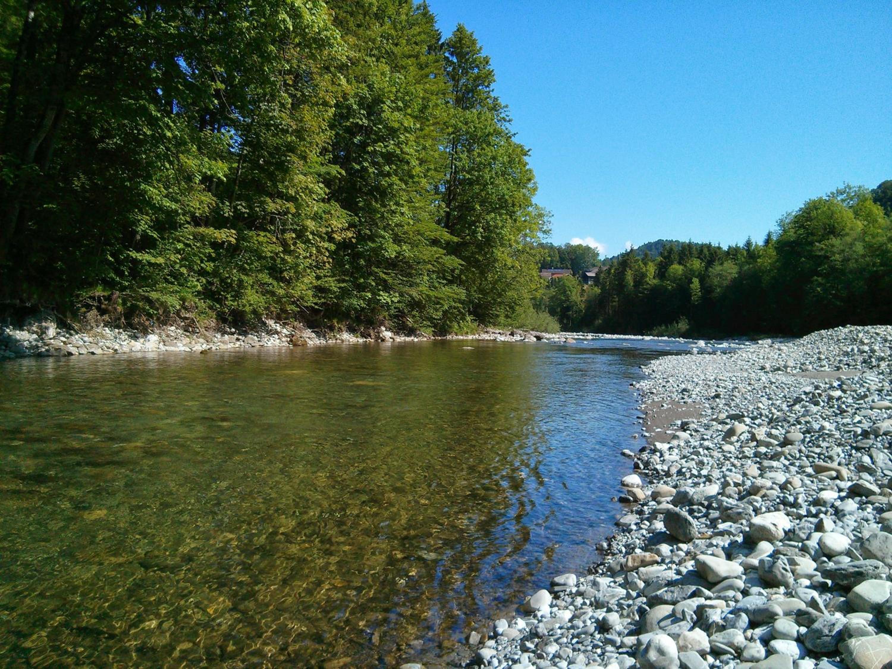 Löchle. Ferienhütte im Bregenzerwald, Andelsbuch
