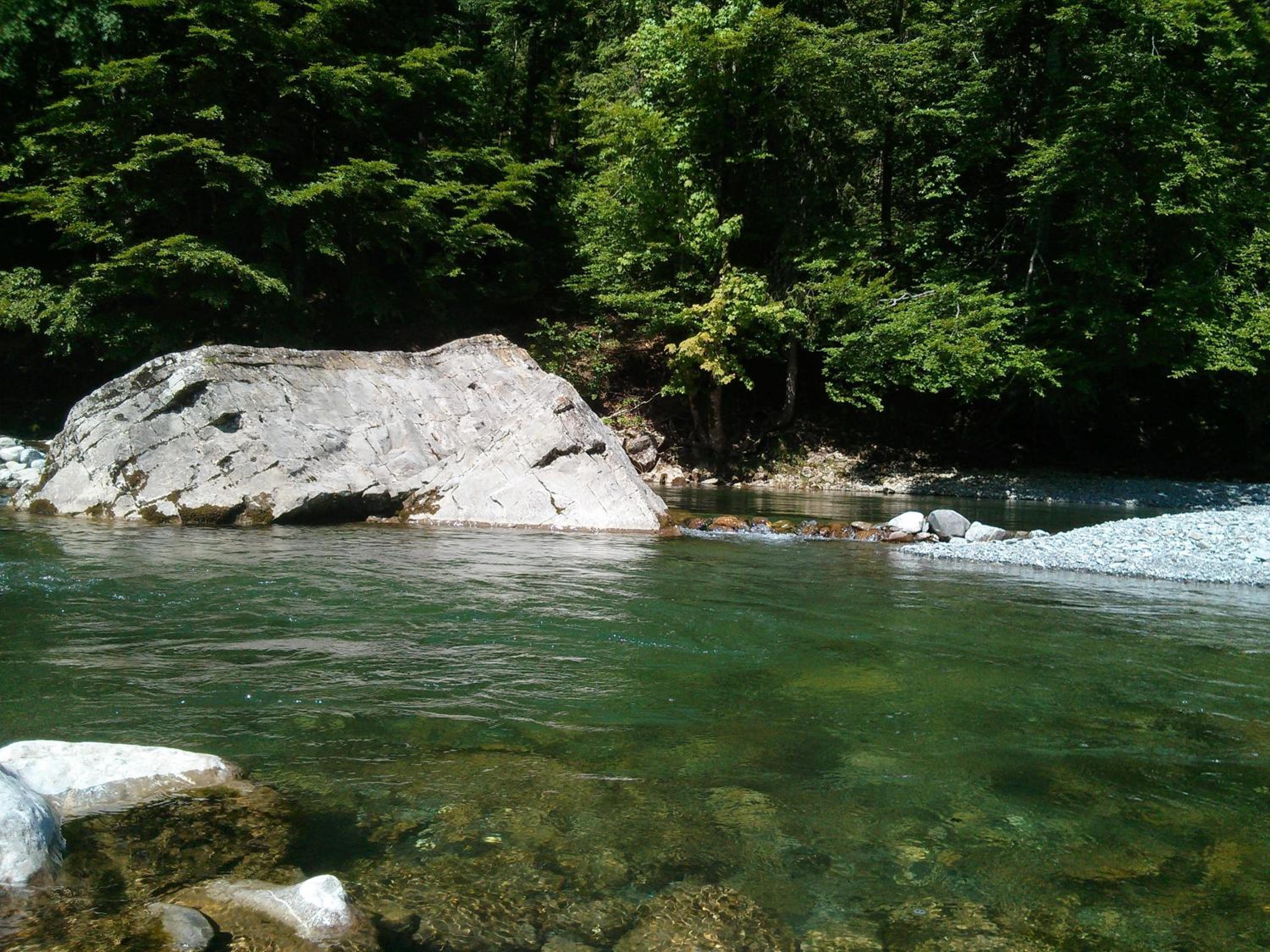 Löchle. Ferienhütte im Bregenzerwald, Andelsbuch