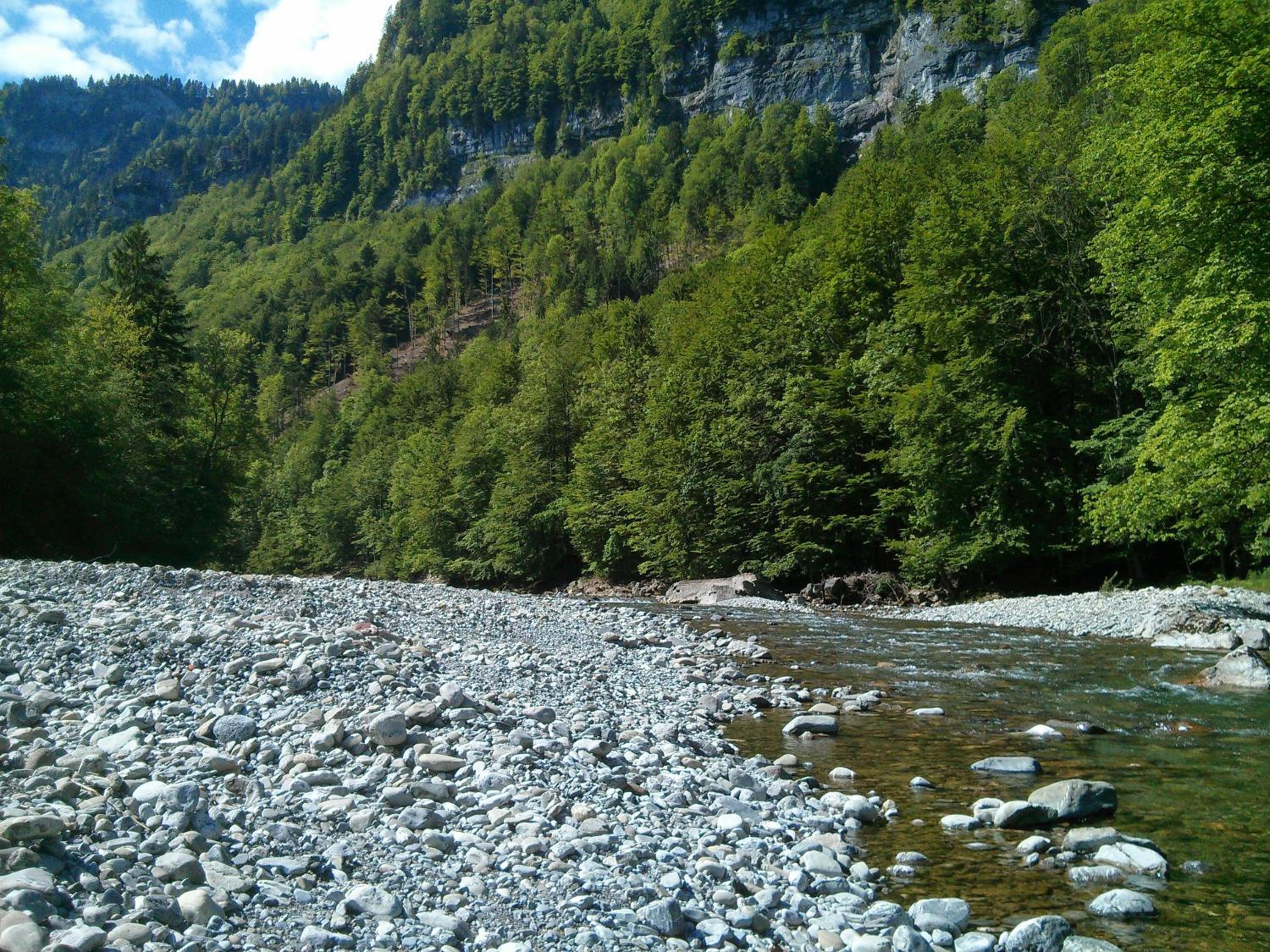 Löchle. Ferienhütte im Bregenzerwald, Andelsbuch