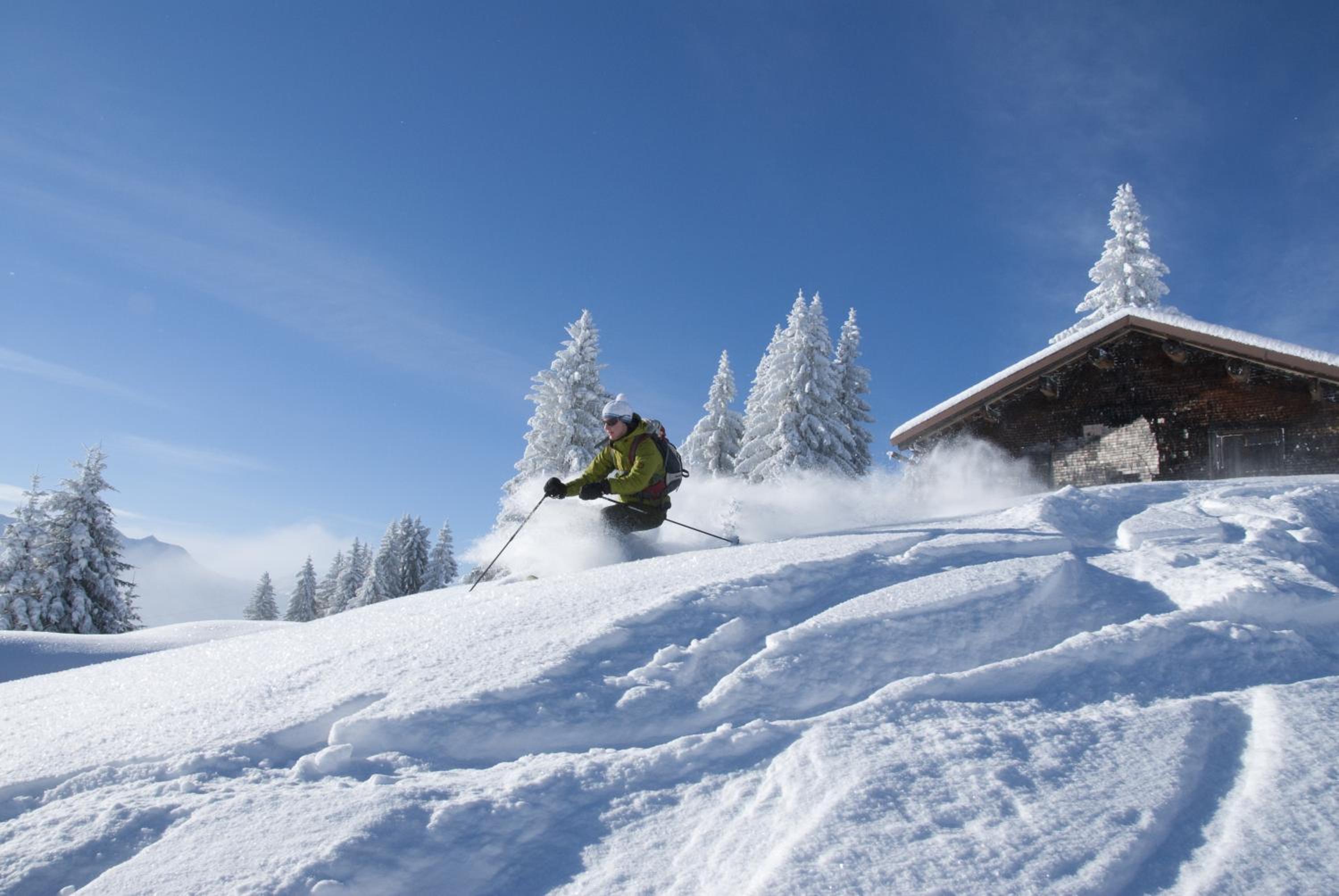Löchle. Ferienhütte im Bregenzerwald, Andelsbuch