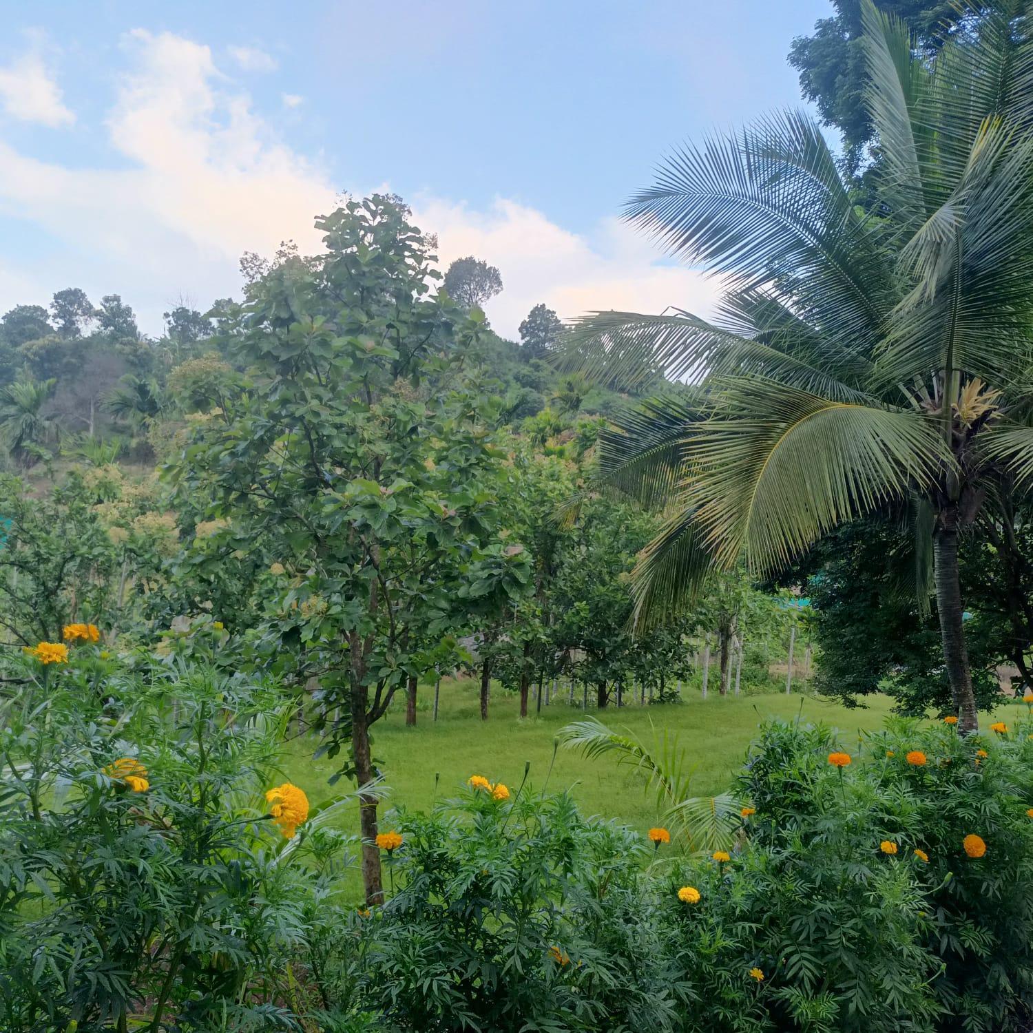 PADAVAYAL GREENS