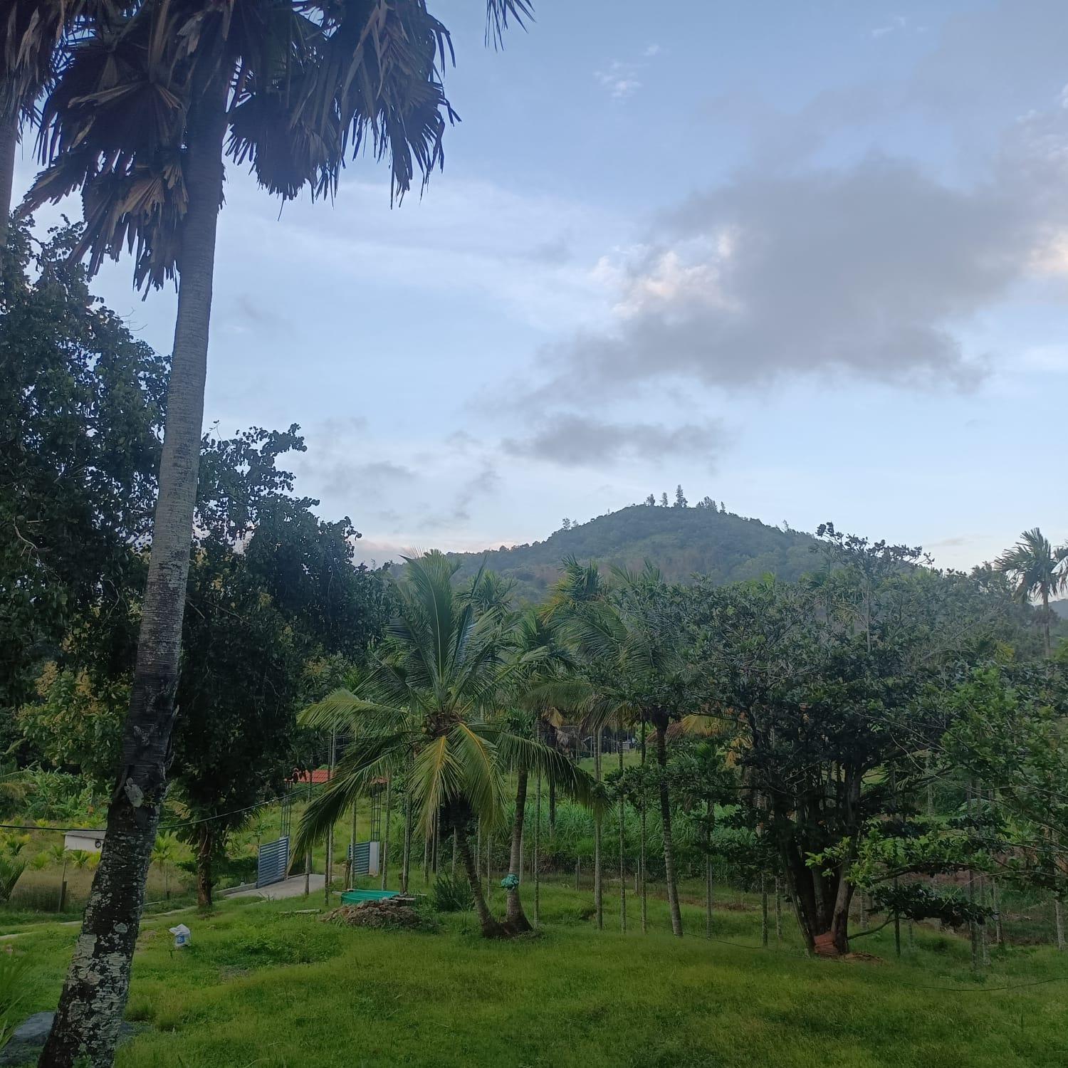 PADAVAYAL GREENS