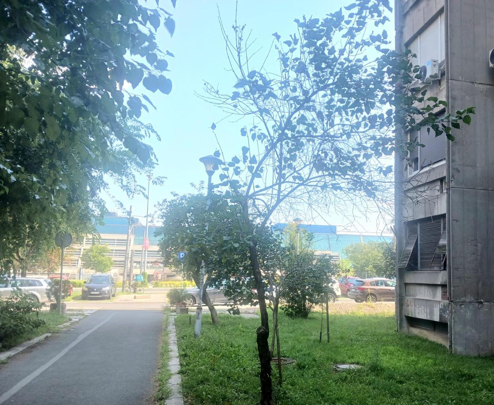 Comfort Apartment