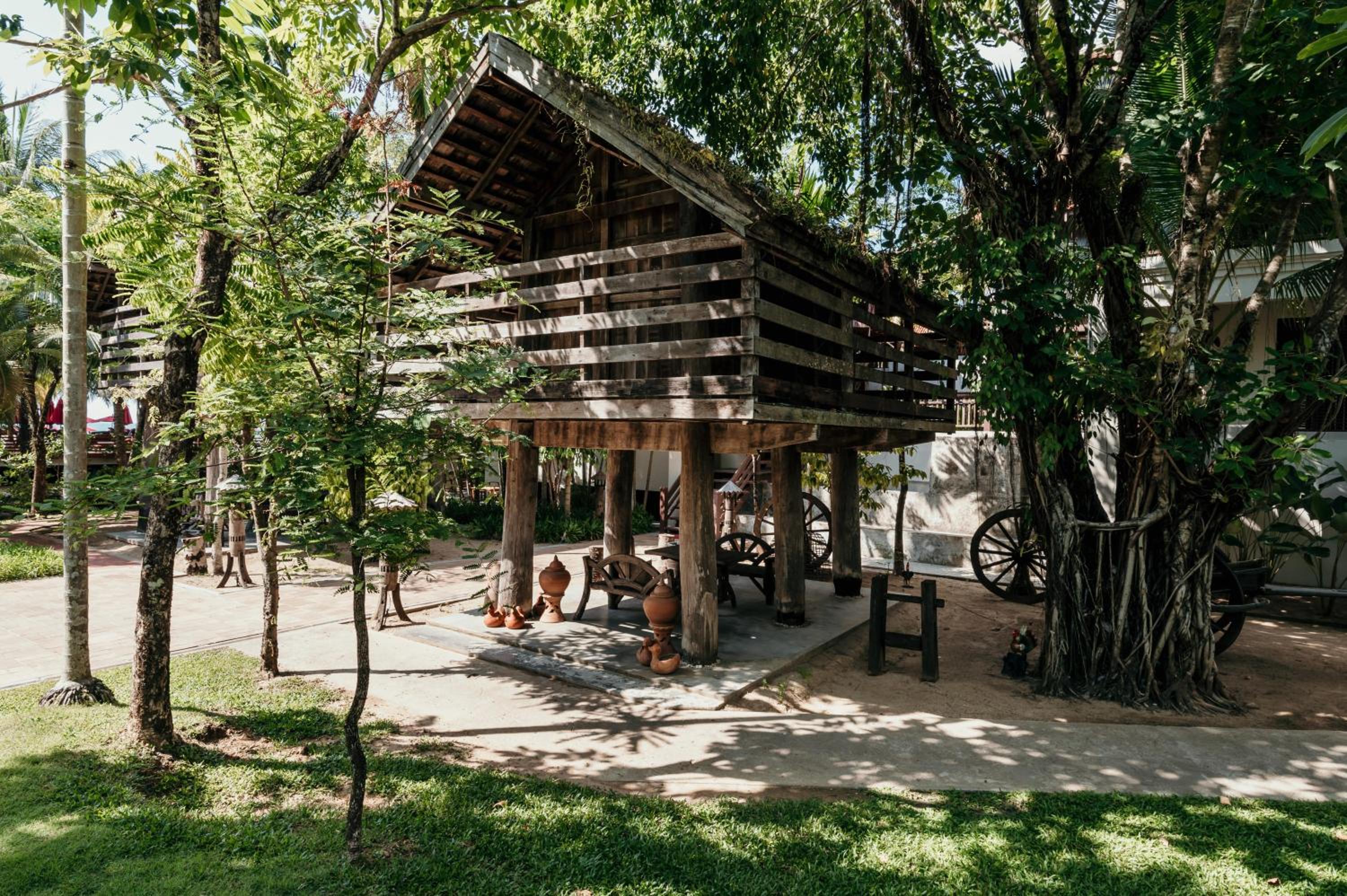 Photo 42