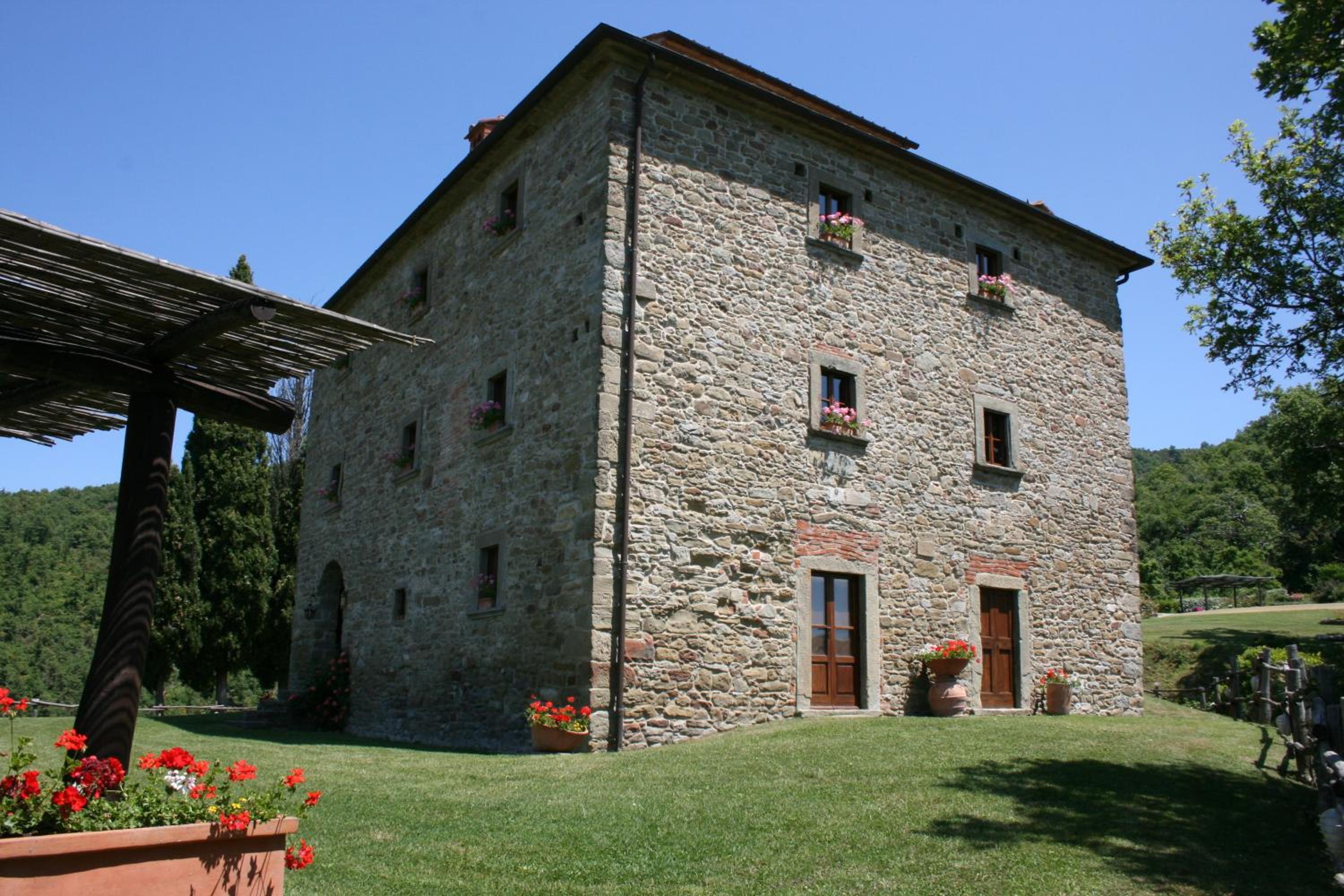 Photo 11