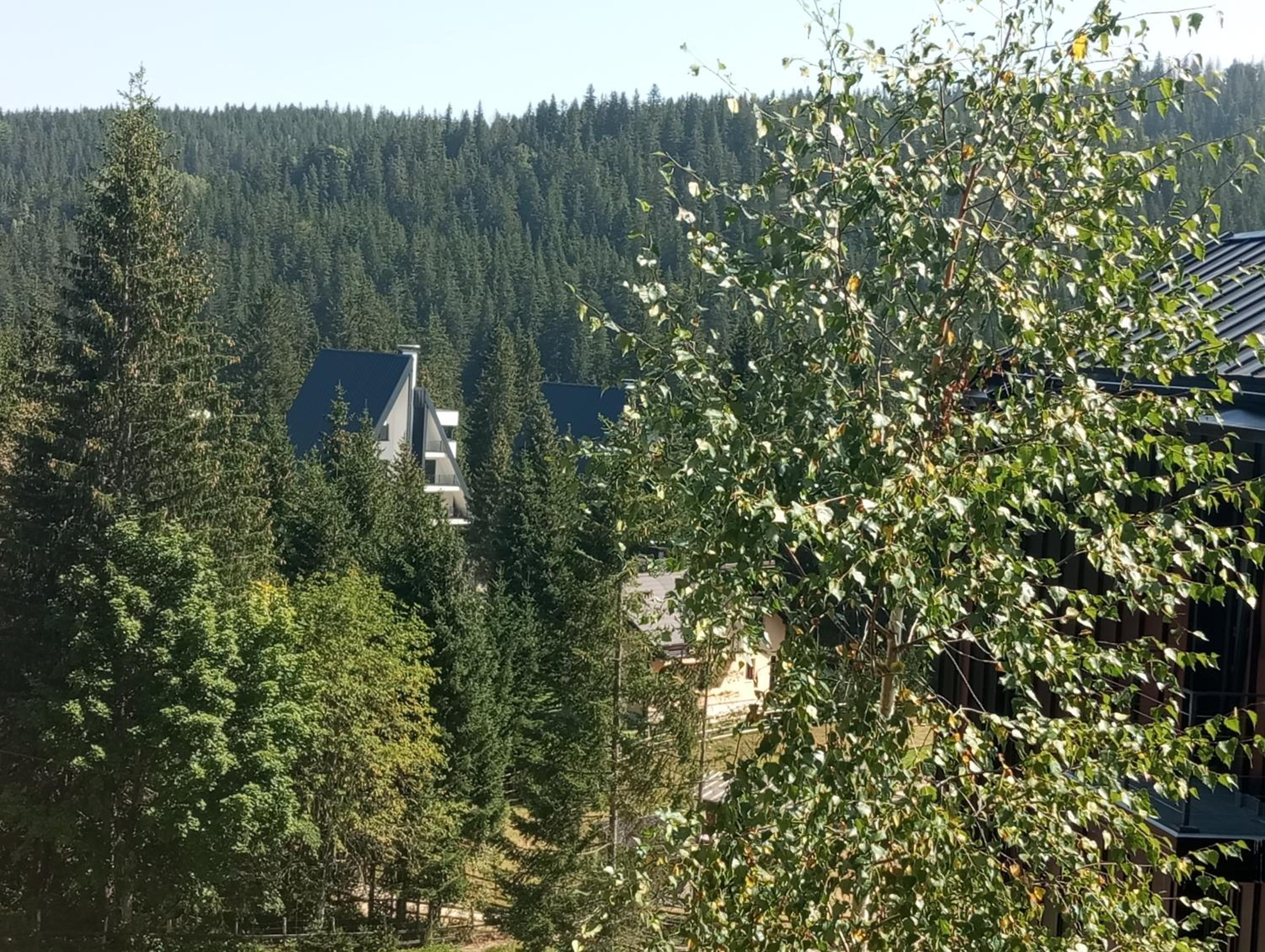 Villa Pahuljica view 4