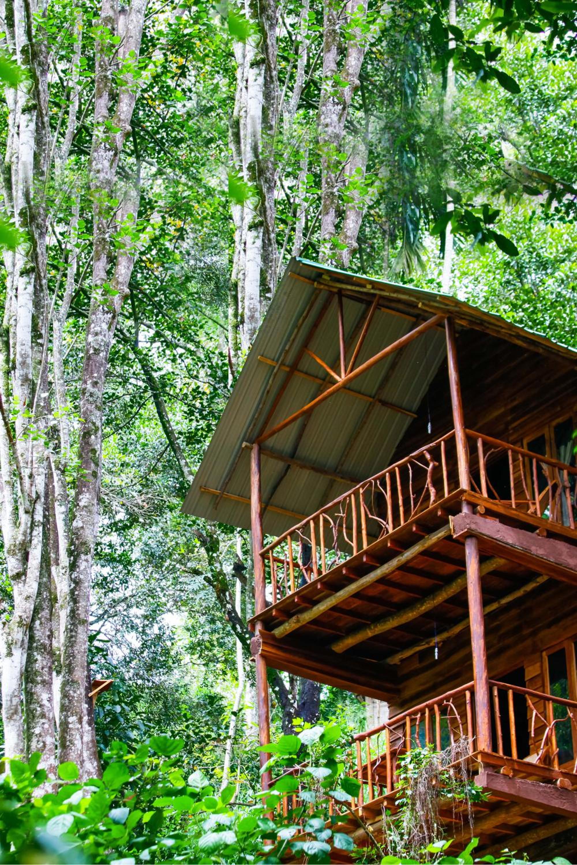 ELLA Eco Lodge, Wellness & Yoga retreat