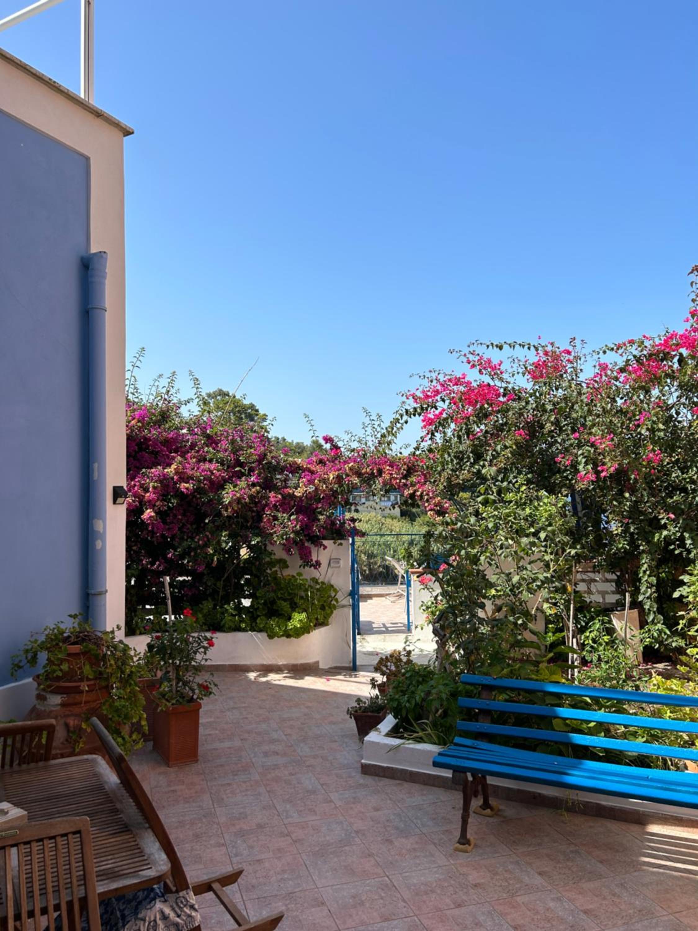 Casa Talento photo 4