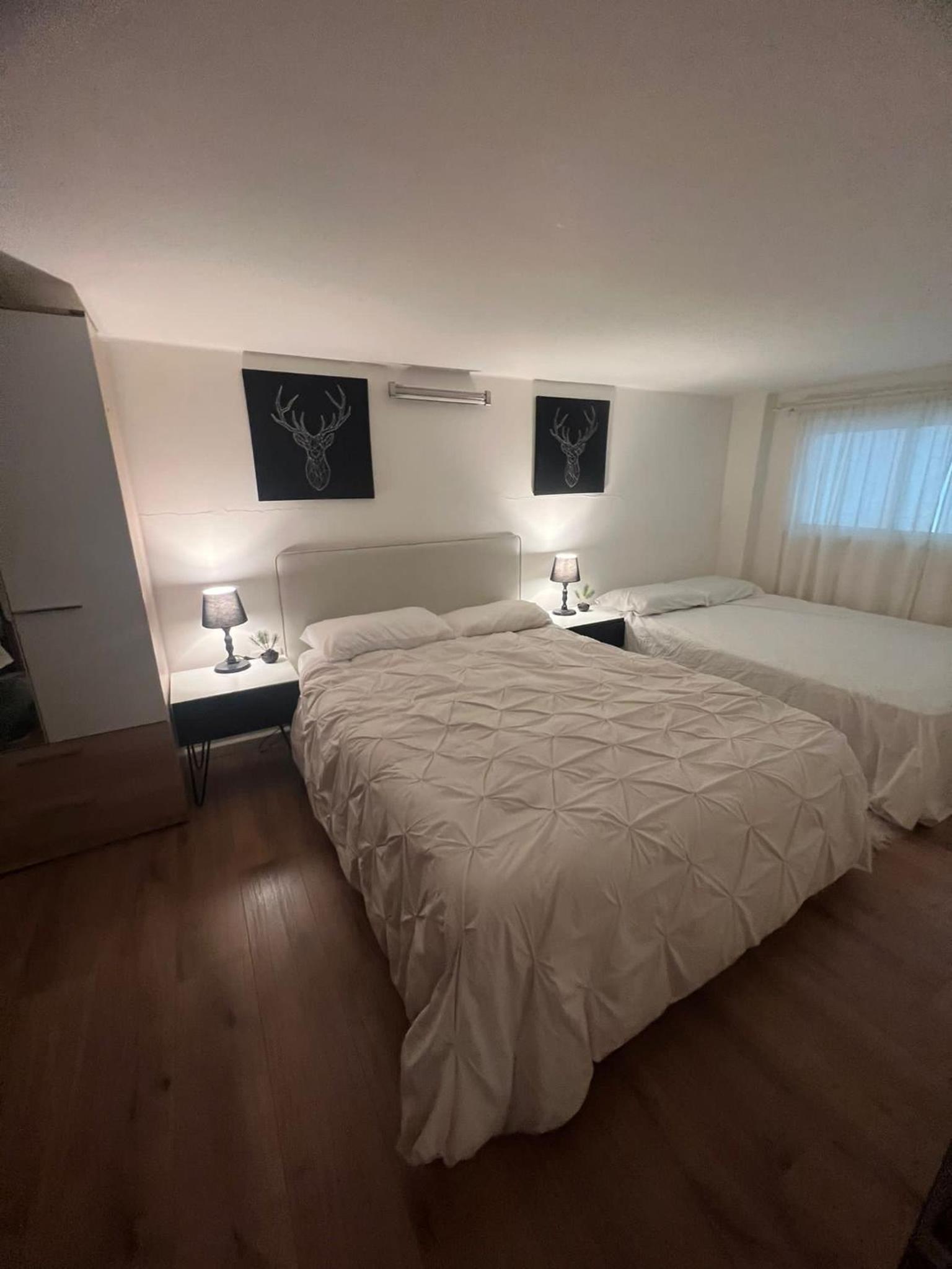 Ofek's place - NOGA view 2