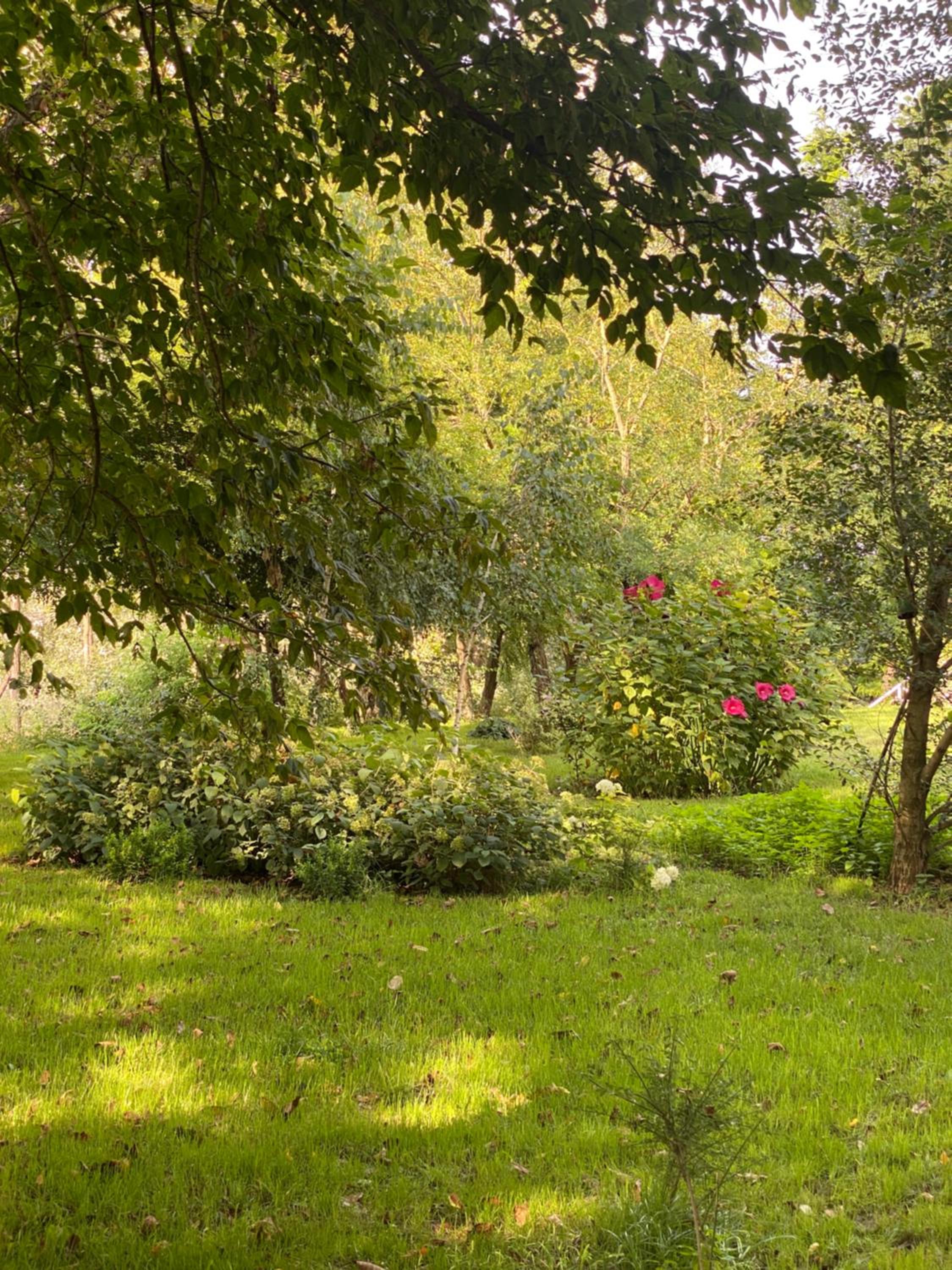 PusztaFarm - Boutique Retreat with Wellness 6 to 8 Guests