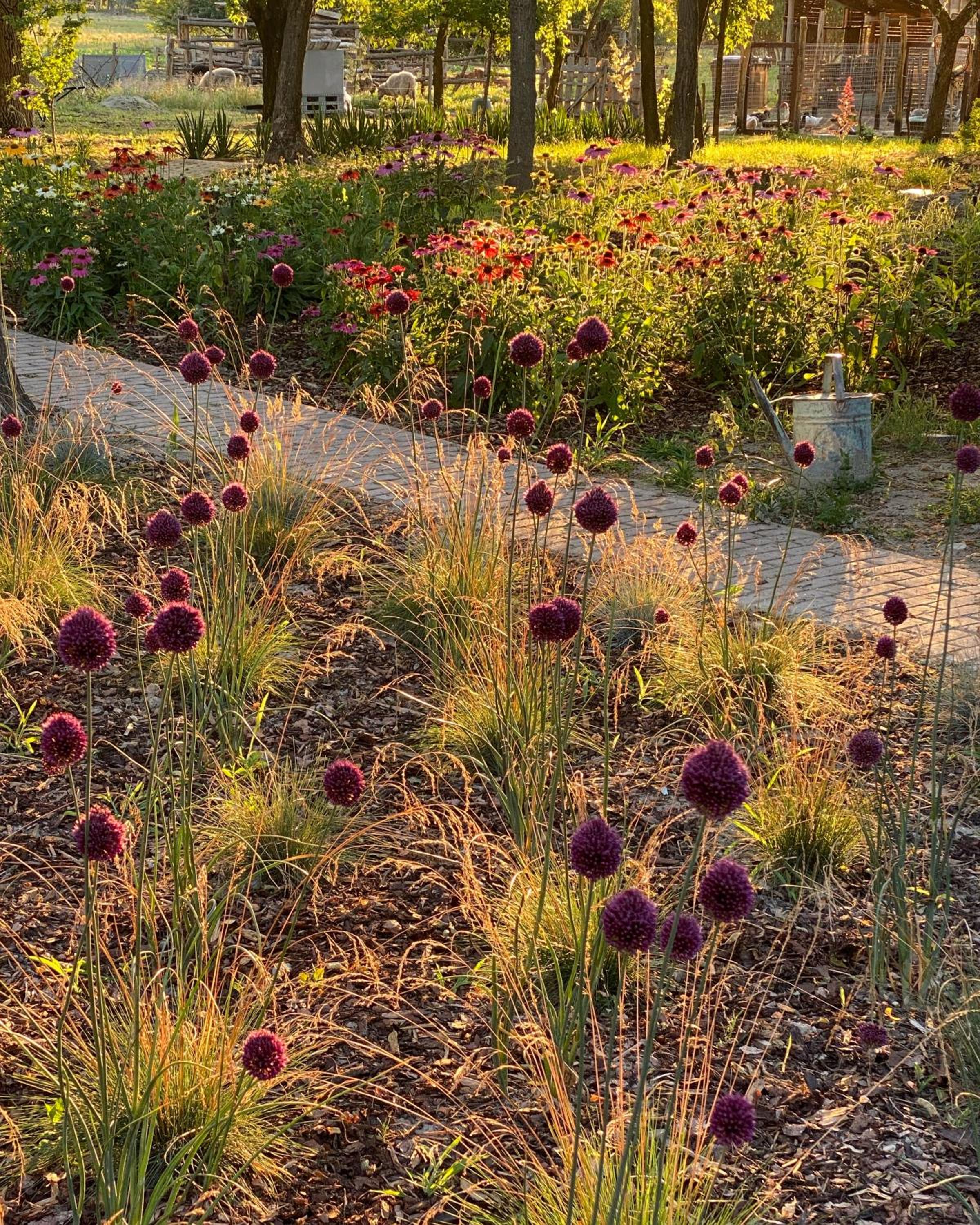 PusztaFarm - Boutique Retreat with Wellness 6 to 8 Guests