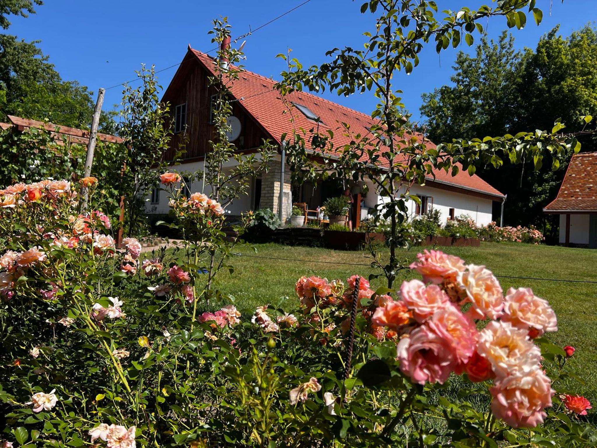 PusztaFarm - Boutique Retreat with Wellness 6 to 8 Guests