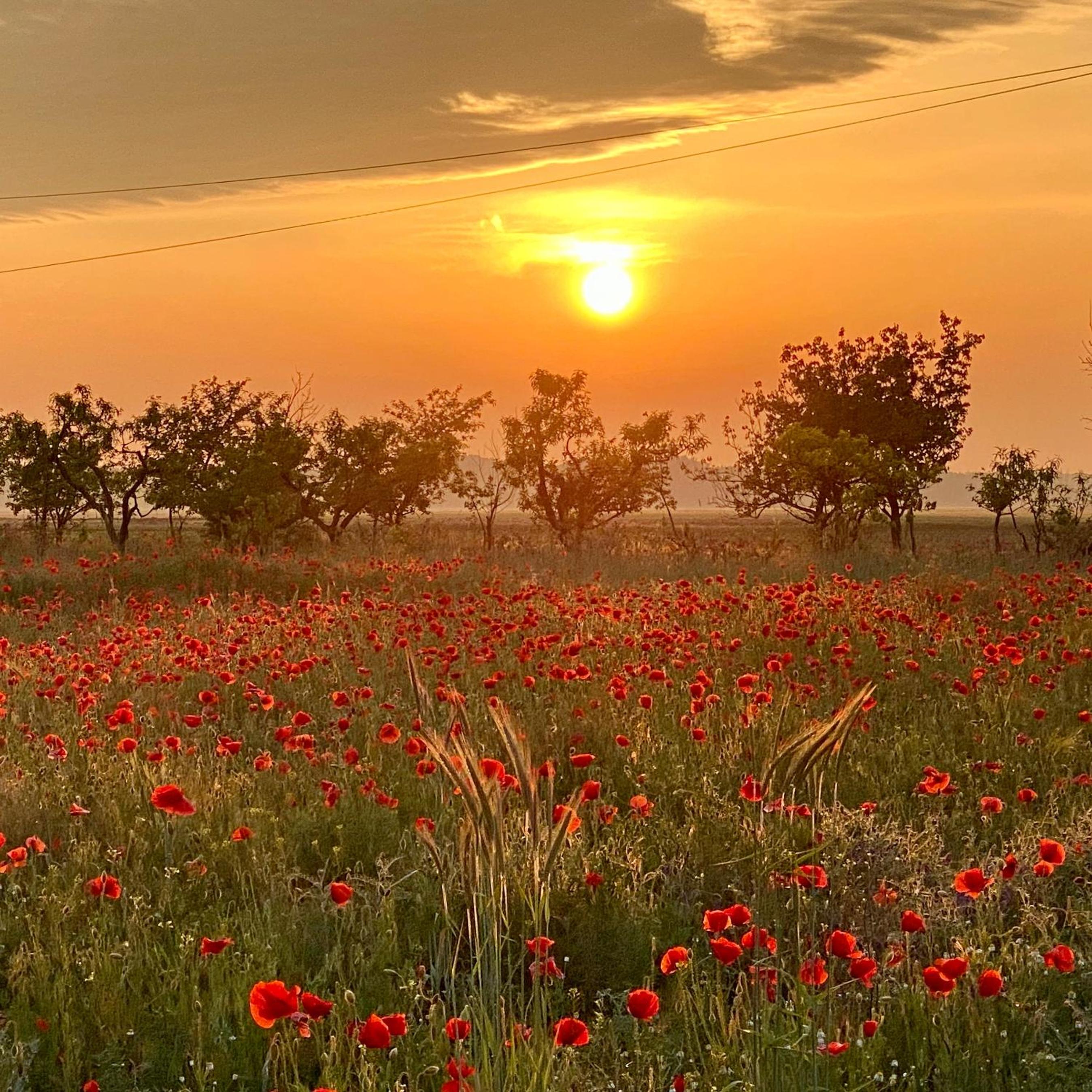 PusztaFarm - Boutique Retreat with Wellness 6 to 8 Guests