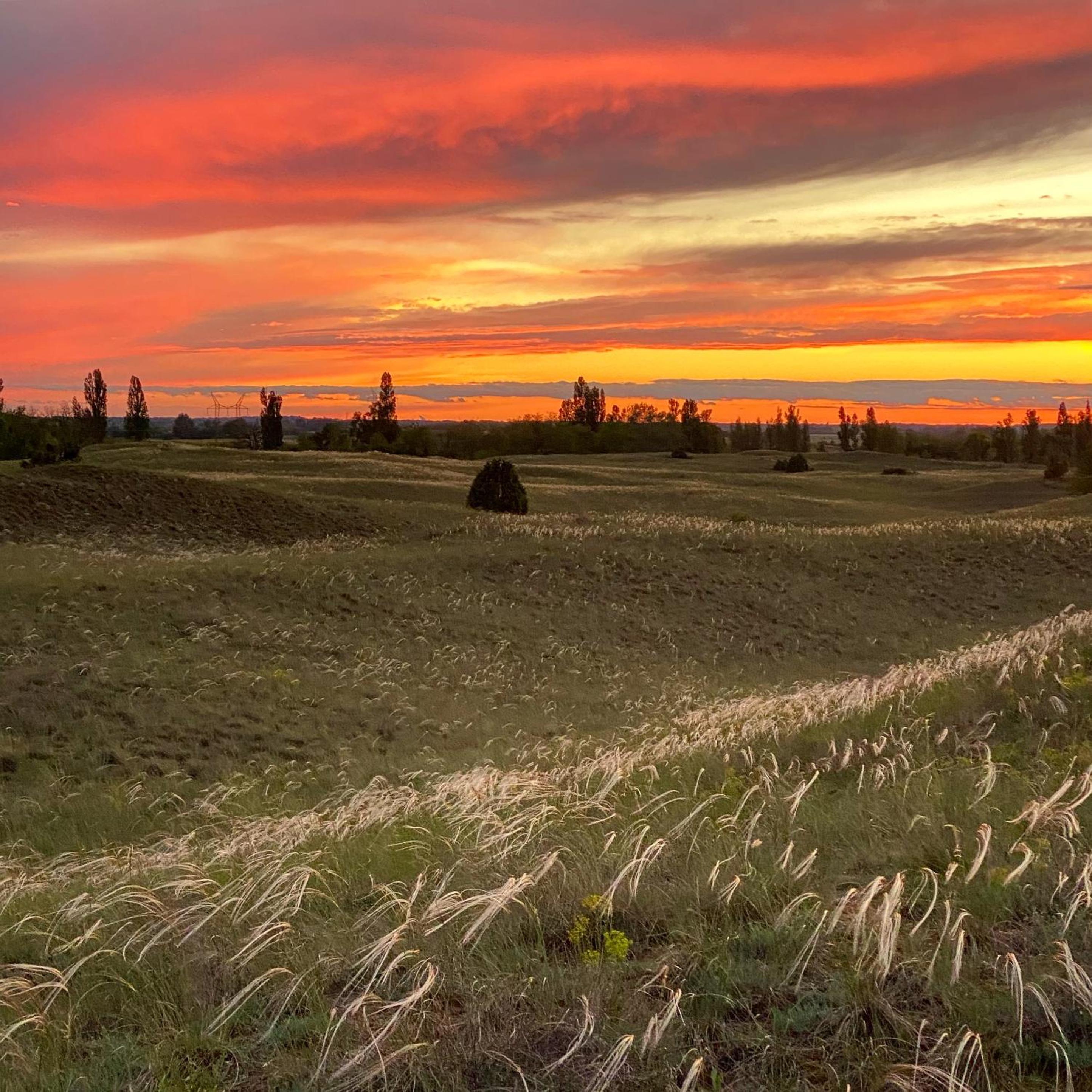 PusztaFarm - Boutique Retreat with Wellness 6 to 8 Guests