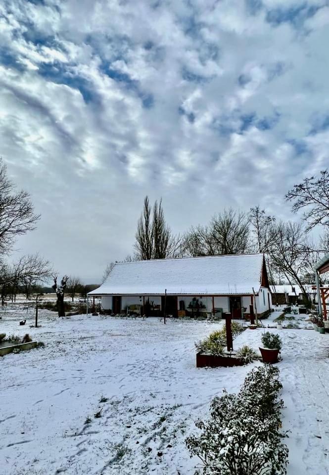 PusztaFarm - Boutique Retreat with Wellness 6 to 8 Guests