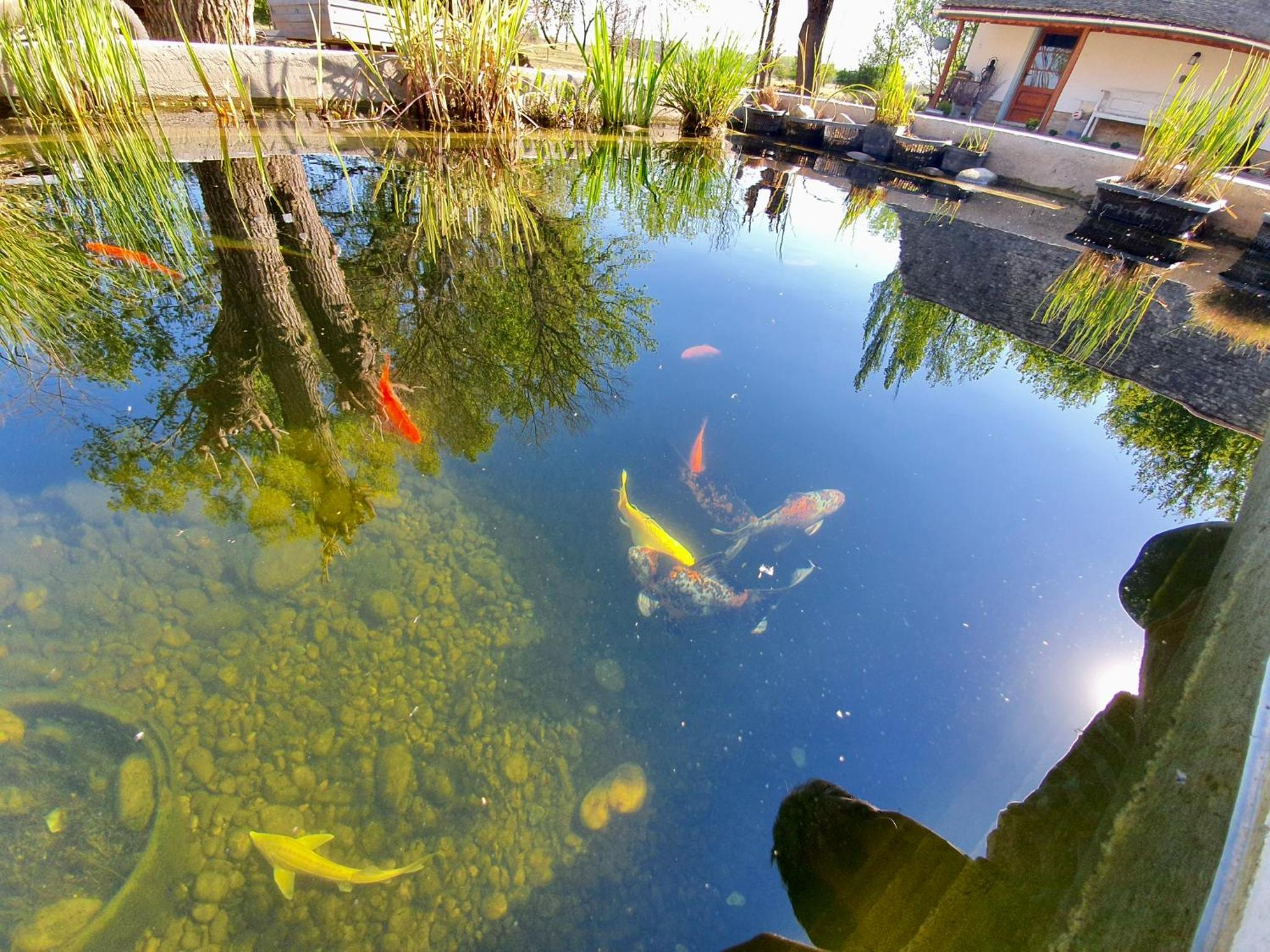 PusztaFarm - Boutique Retreat with Wellness 6 to 8 Guests