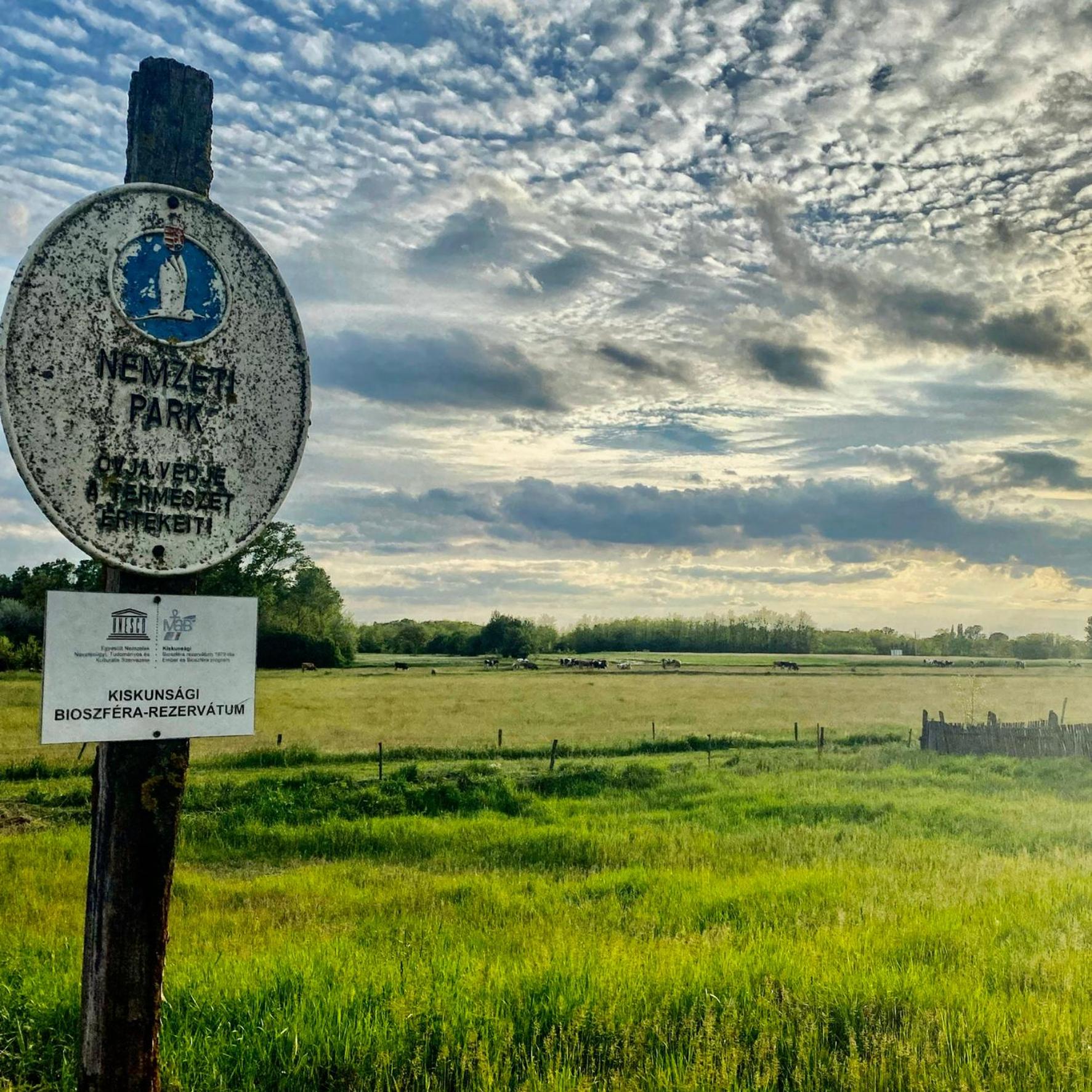 PusztaFarm - Boutique Retreat with Wellness 6 to 8 Guests