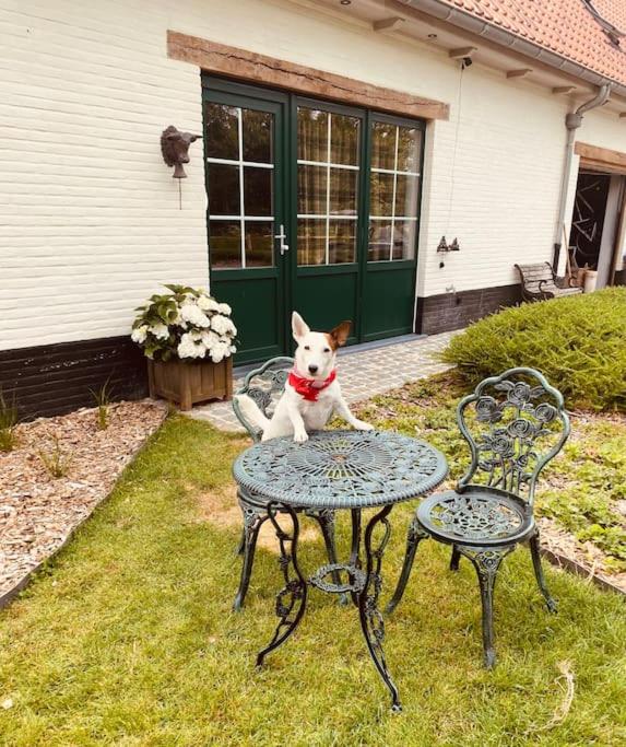 Prachtige vakantiewoning met weids uitzicht