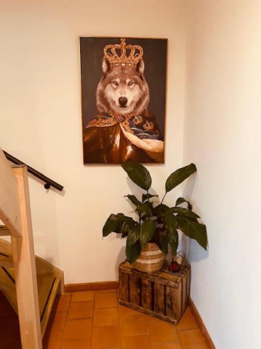 Prachtige vakantiewoning met weids uitzicht