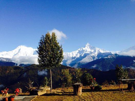 Himalayan Deurali Resort