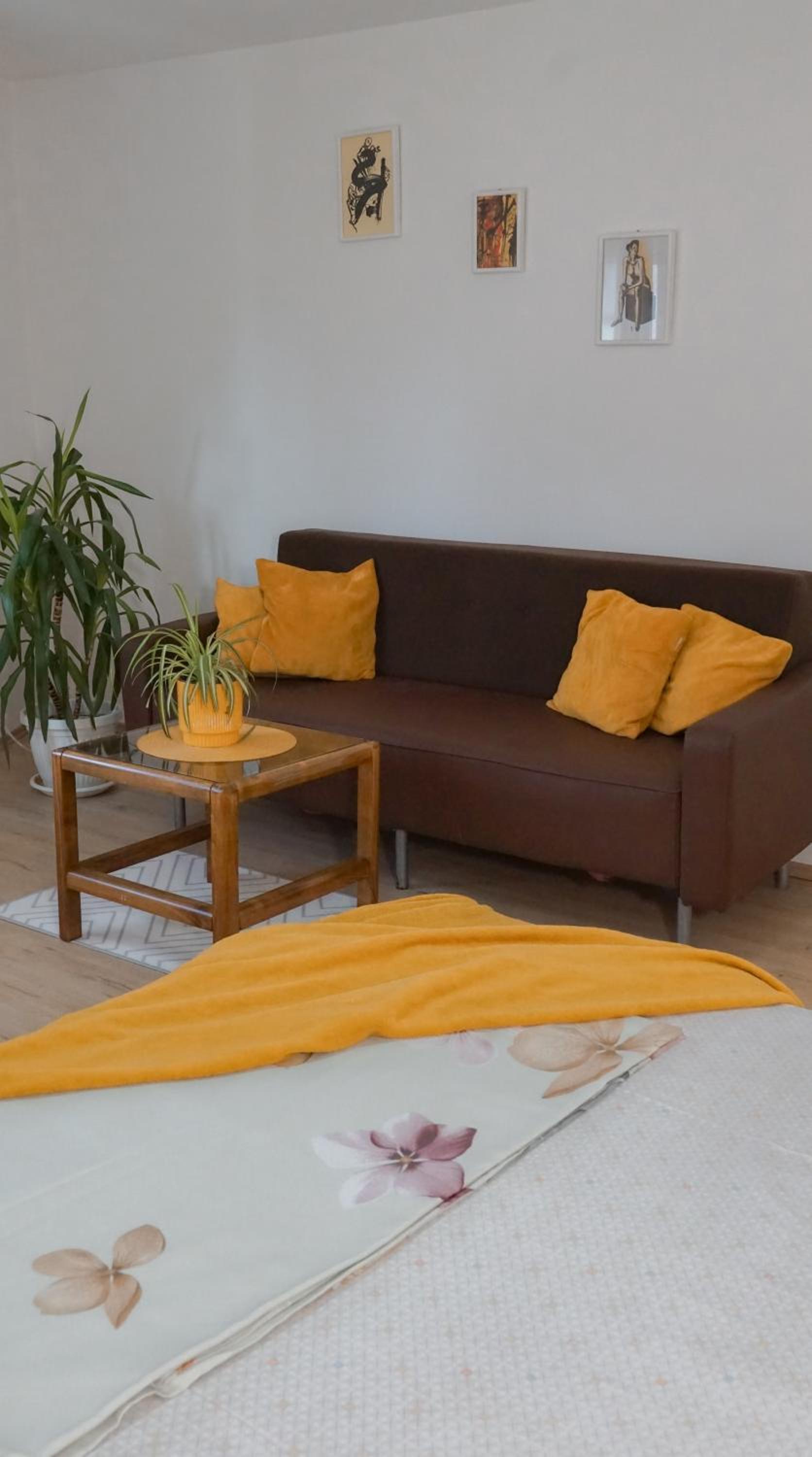 Apartmani Bubamara Leskovac view 4