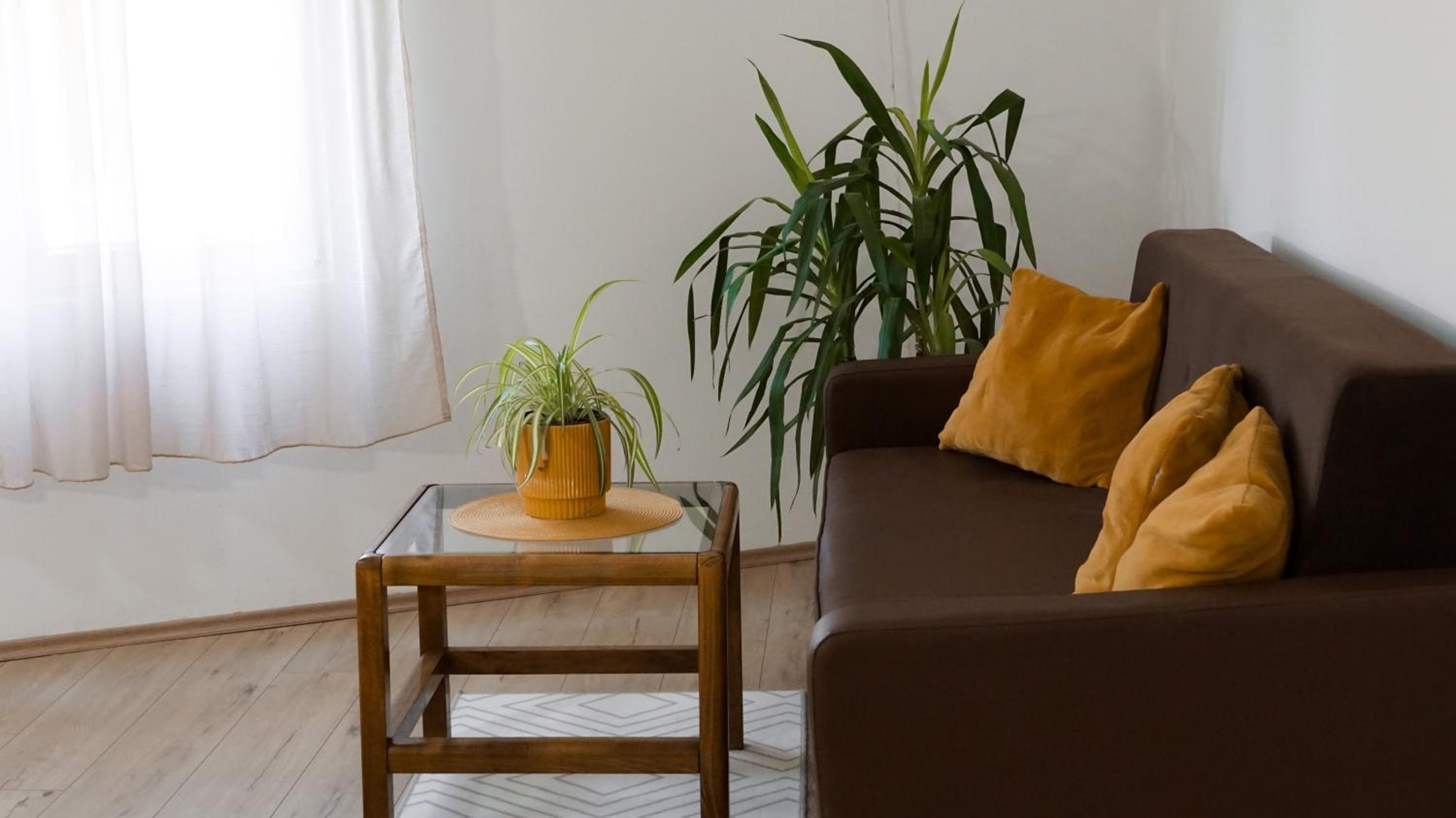Apartmani Bubamara Leskovac view 3