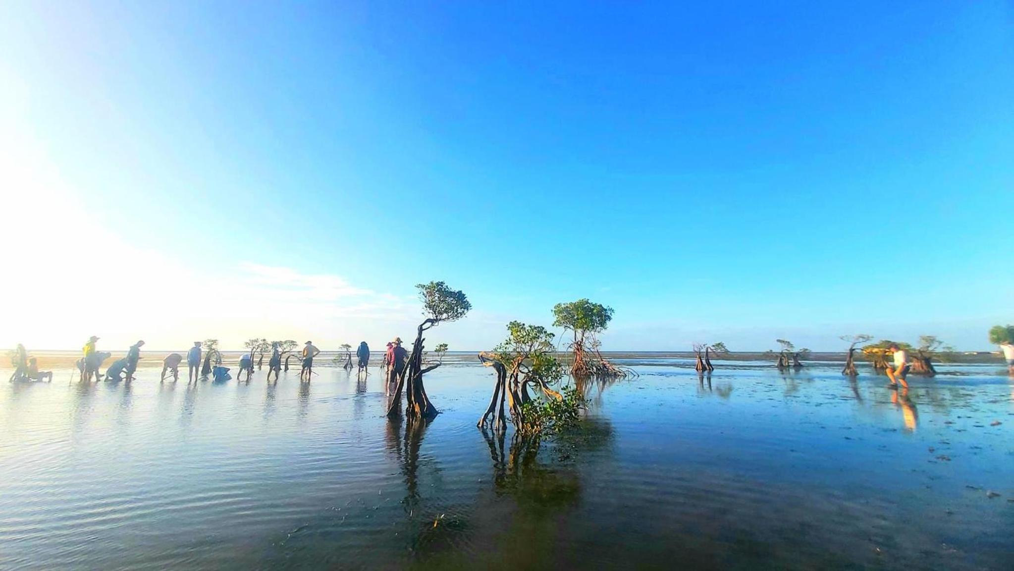Hars Garden Sumba view 5