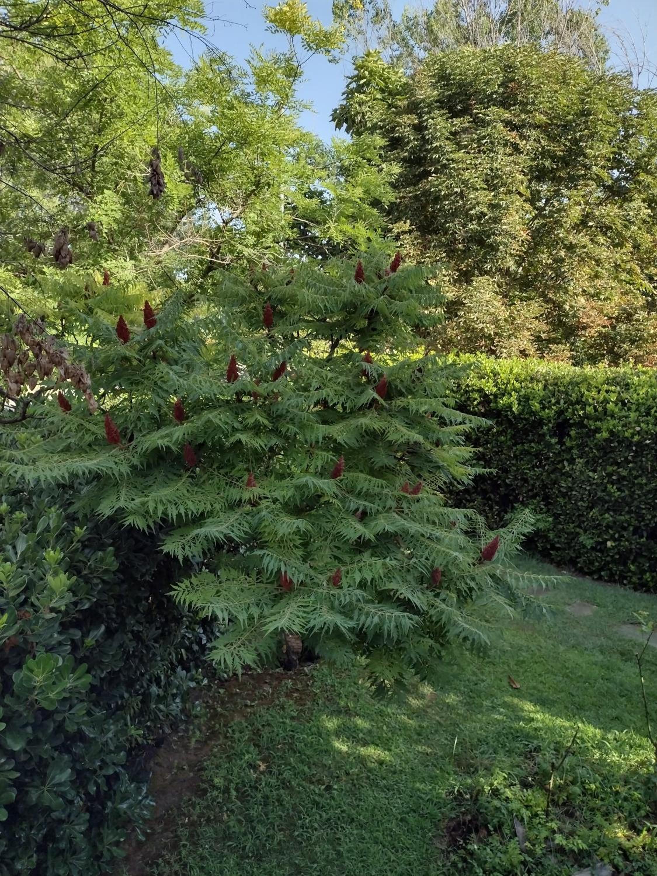Photo 36