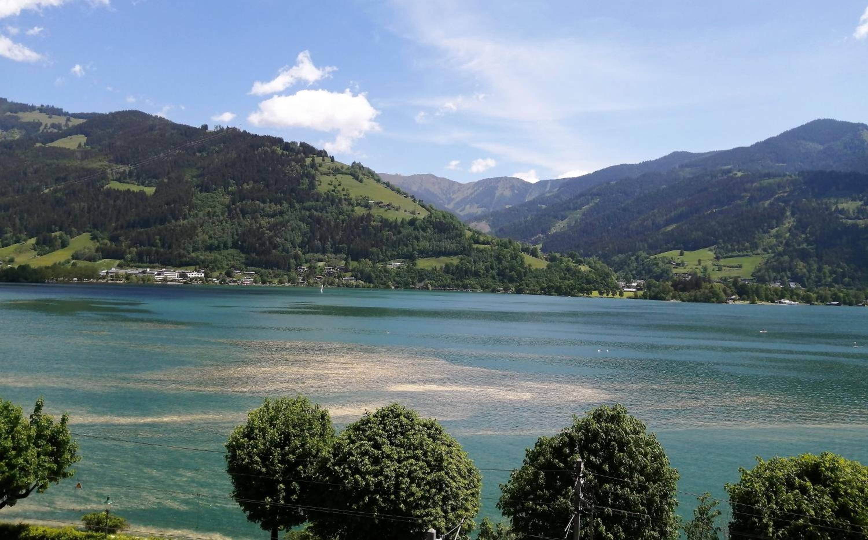 Haus Ditzer - Villa Theresia