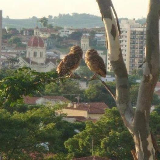 Loft em chácara Espírito Santo