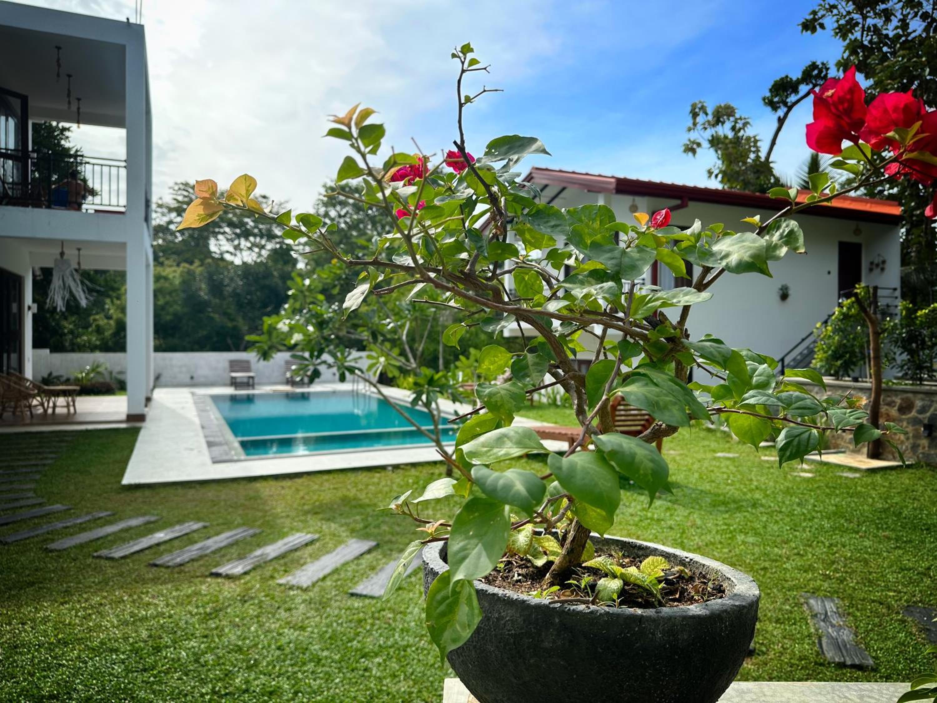 Finch Tangalle