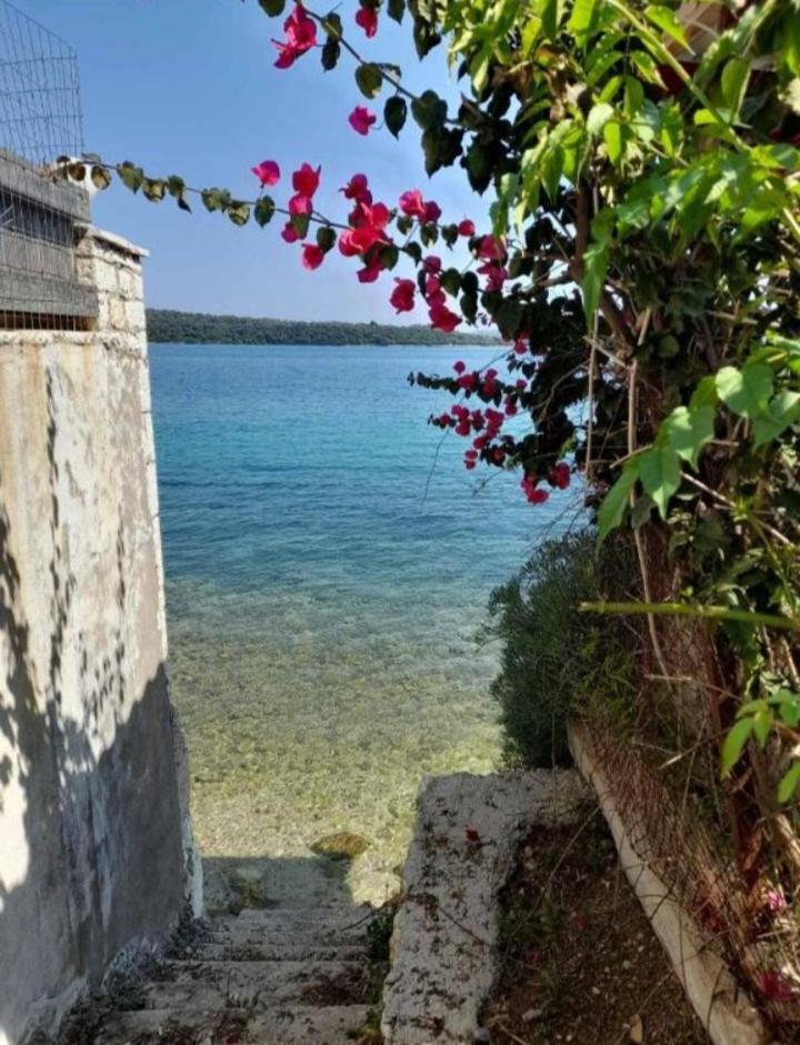 Anmare Studios